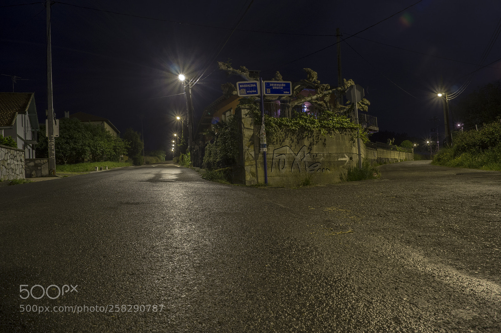 Sony SLT-A58 sample photo. Untitled photography