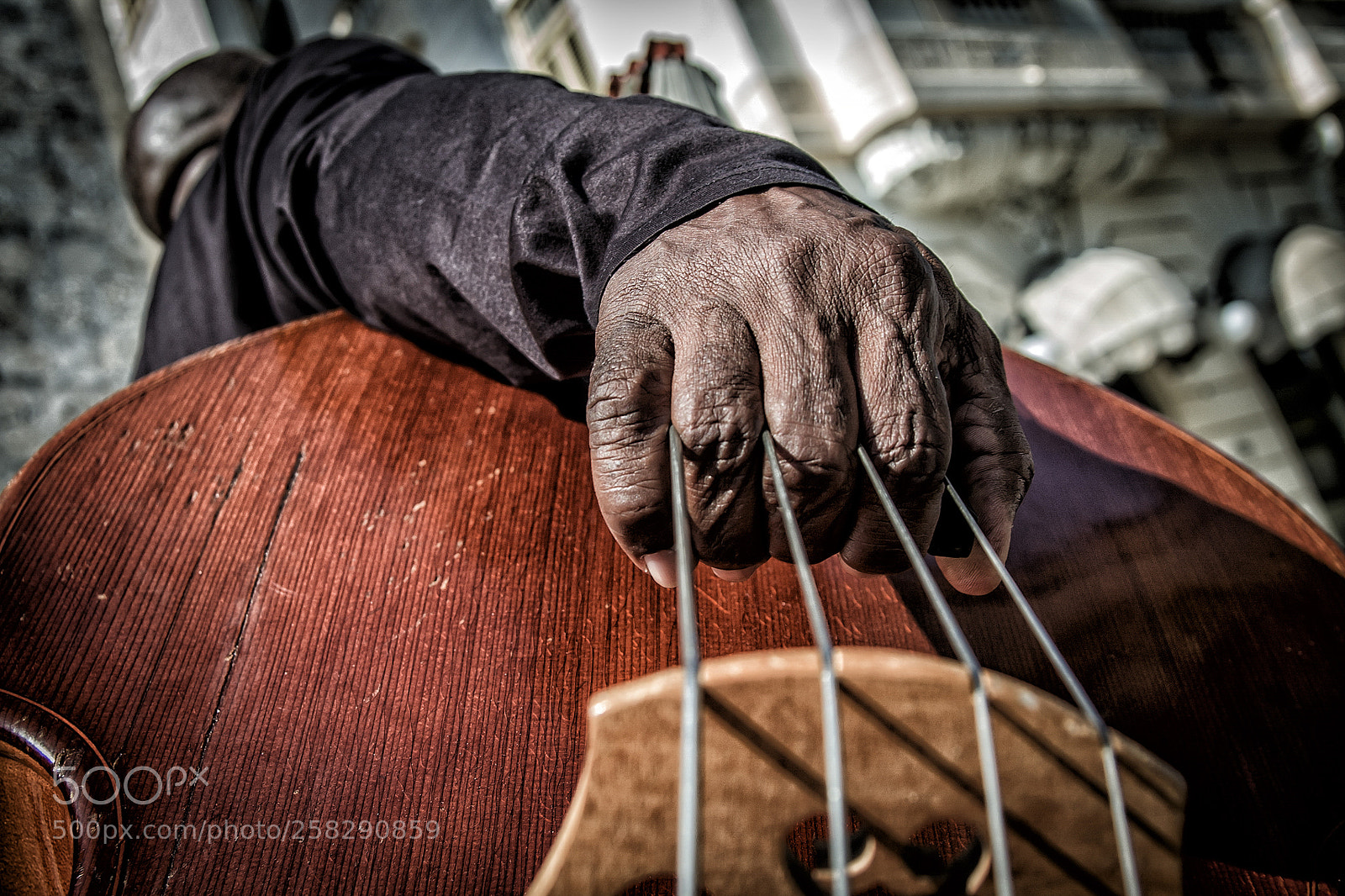 Nikon D70 sample photo. The double bass player photography