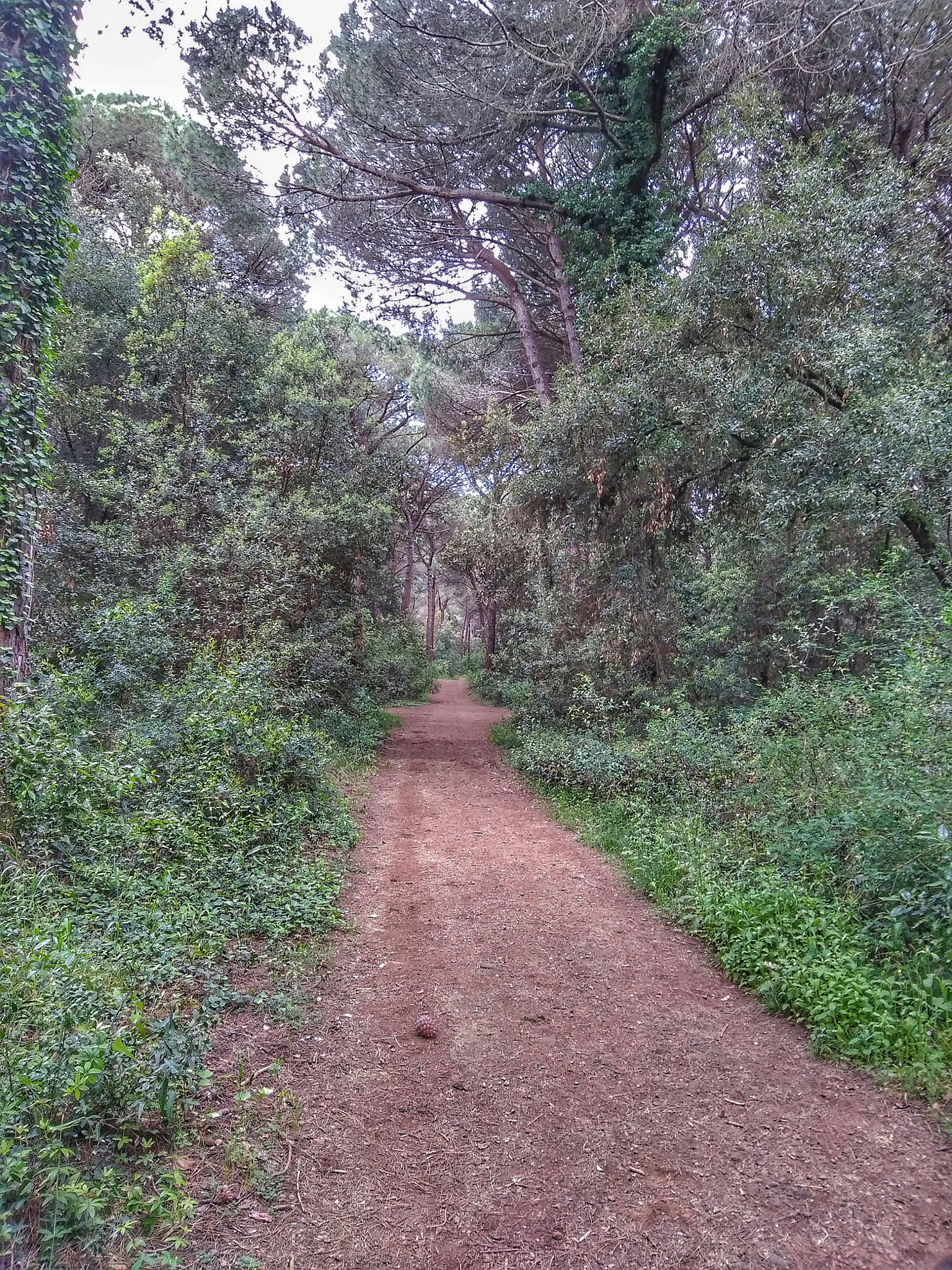 HUAWEI GR3 2017 sample photo