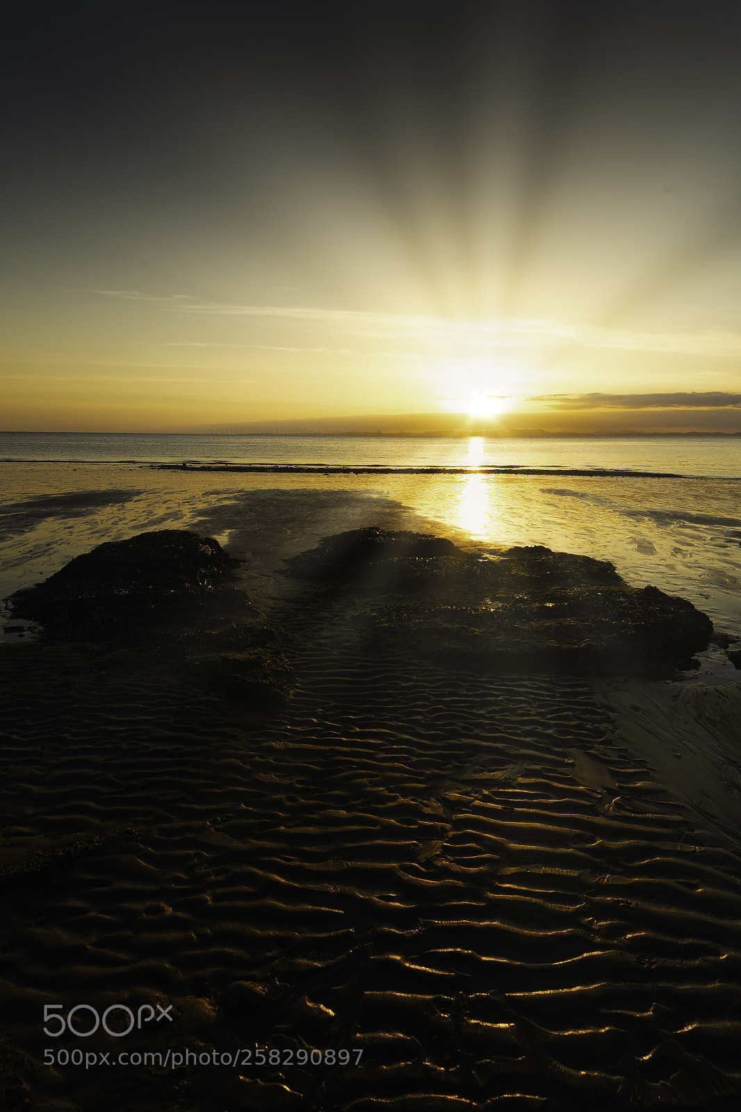 Nikon D7200 sample photo. Sun rays photography
