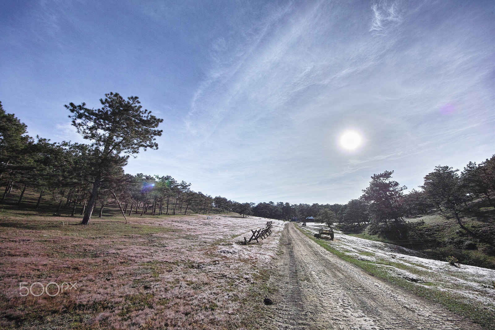 Sigma 8-16mm F4.5-5.6 DC HSM sample photo. Pink grass hill in dalat photography