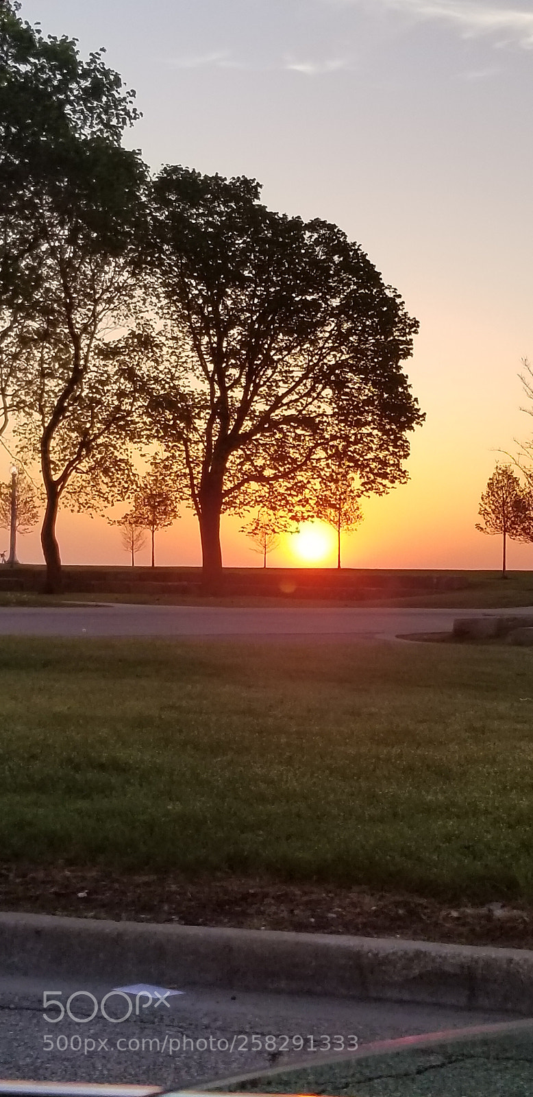 Samsung Galaxy S8+ sample photo. Untitled photography