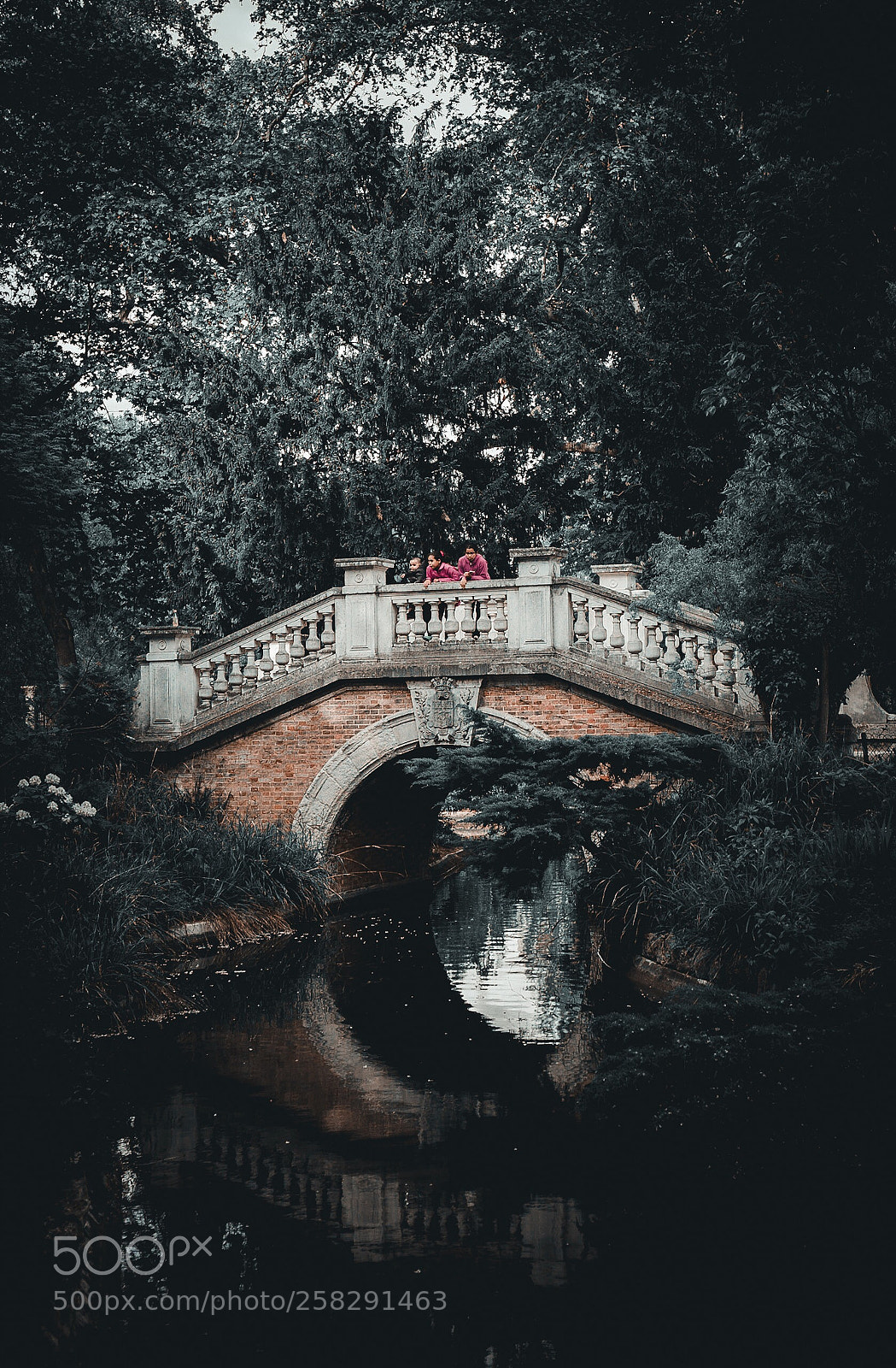Canon EOS 6D sample photo. Le pont mignon  photography