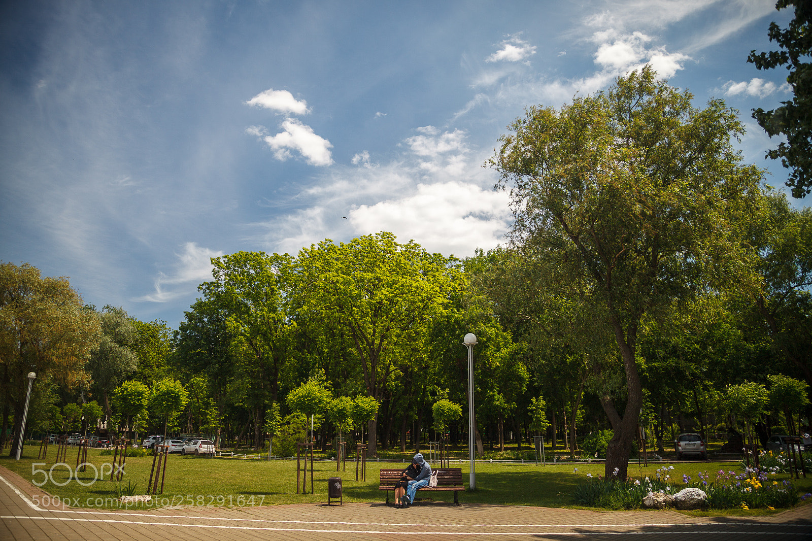 Canon EOS 5D Mark II sample photo. Untitled photography