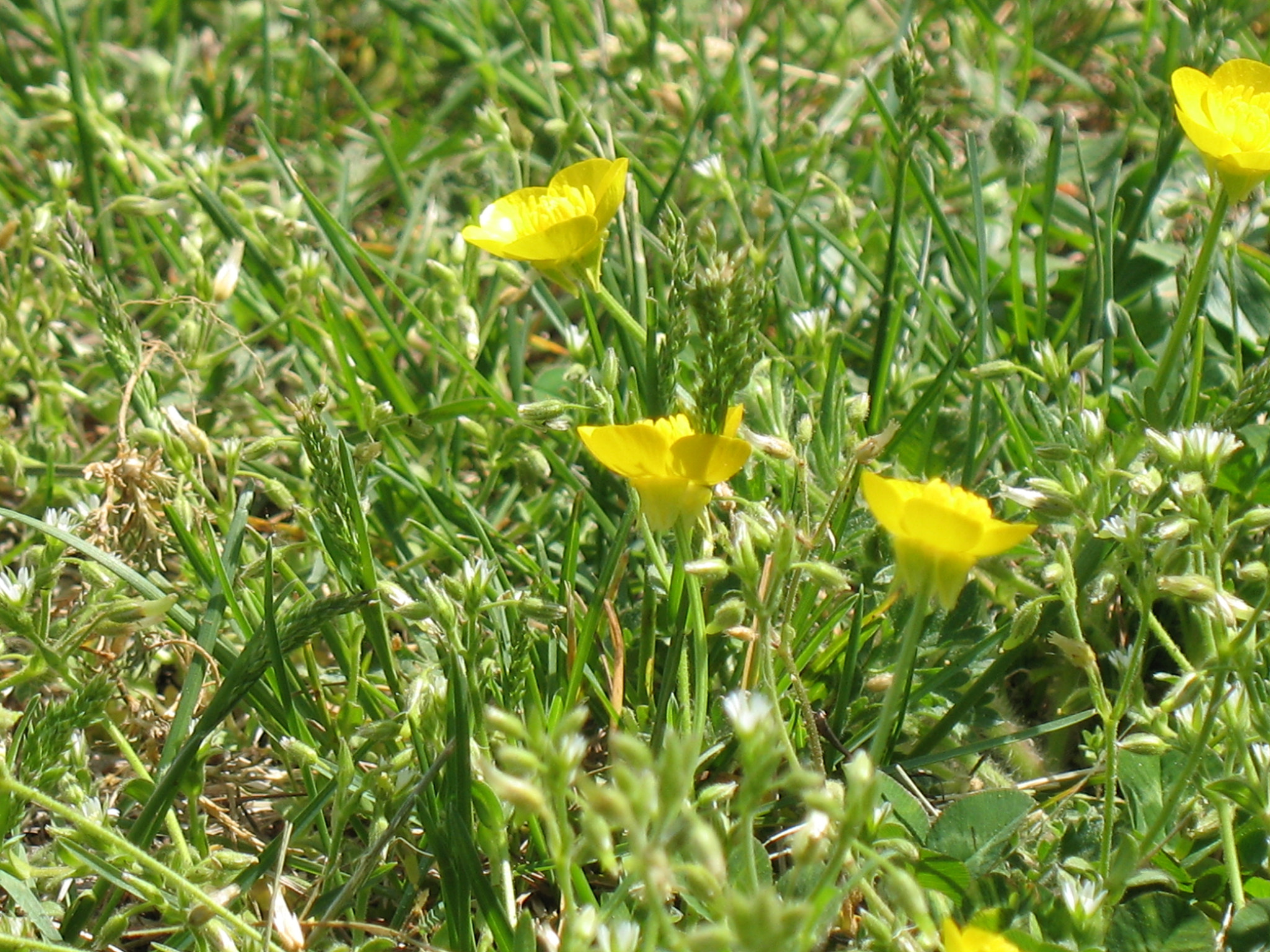 Canon POWERSHOT A630 sample photo. Img photography