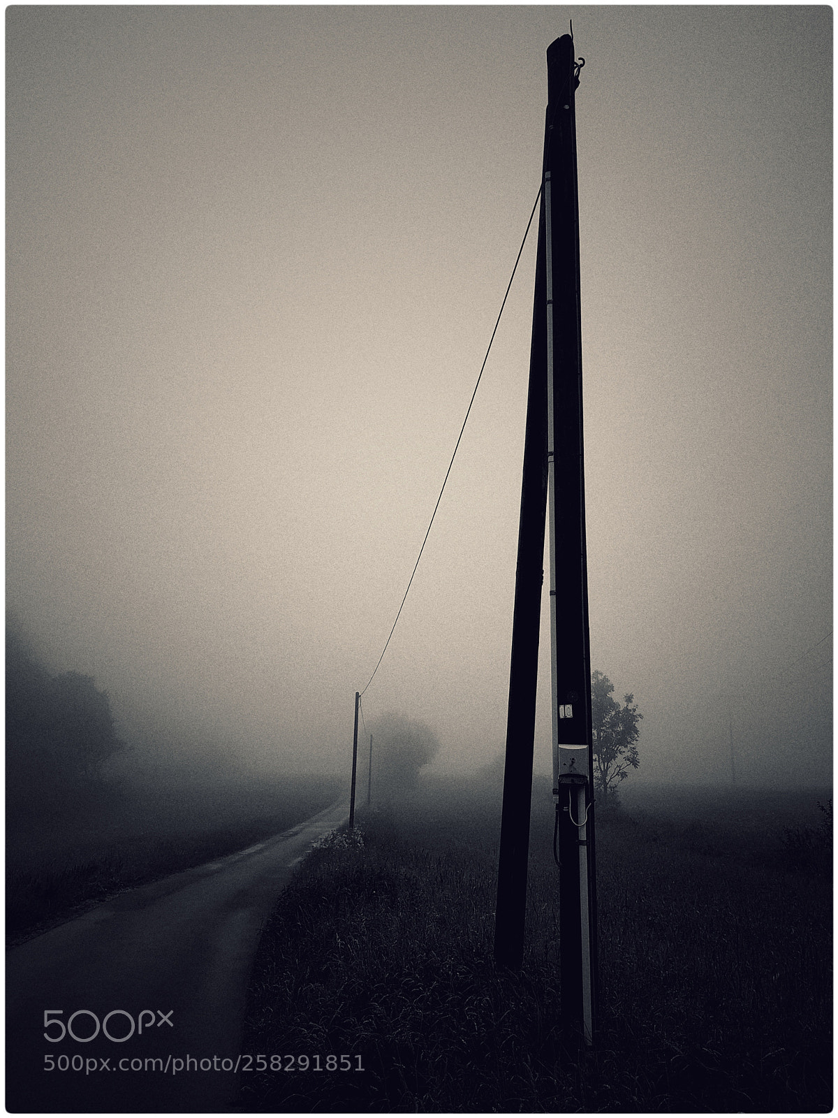 Samsung Galaxy S8 sample photo. These foggy days in photography