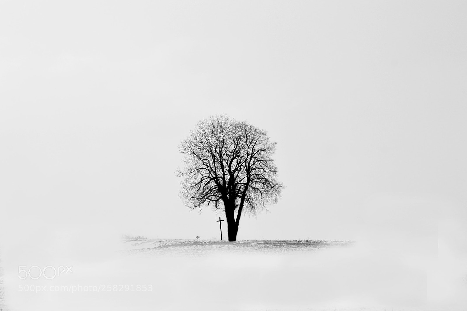 Nikon D3200 sample photo. Polish winter iv photography