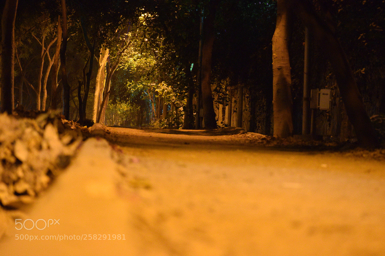 Nikon D3300 sample photo. Night life photography