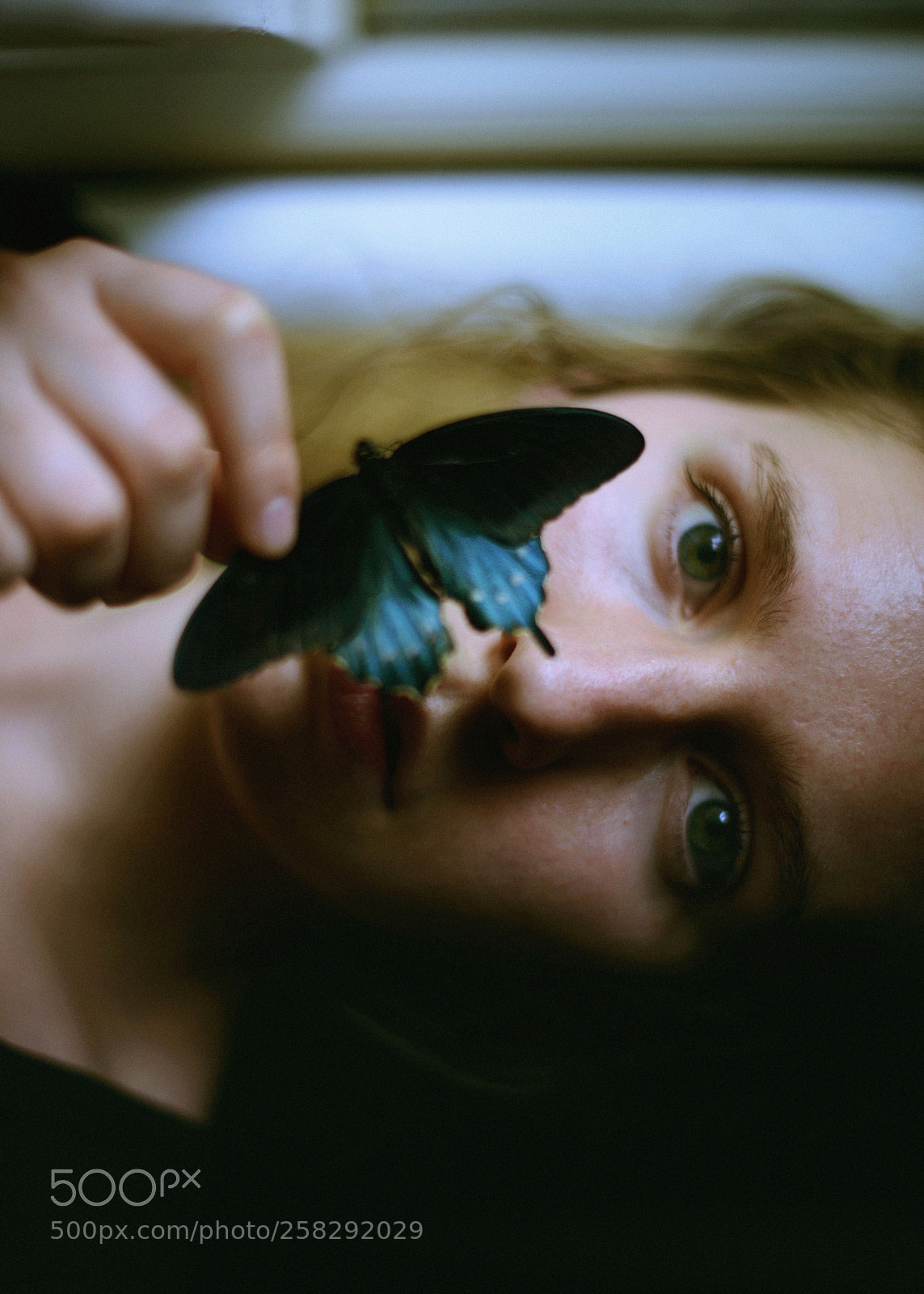 Nikon D600 sample photo. Mariposa photography
