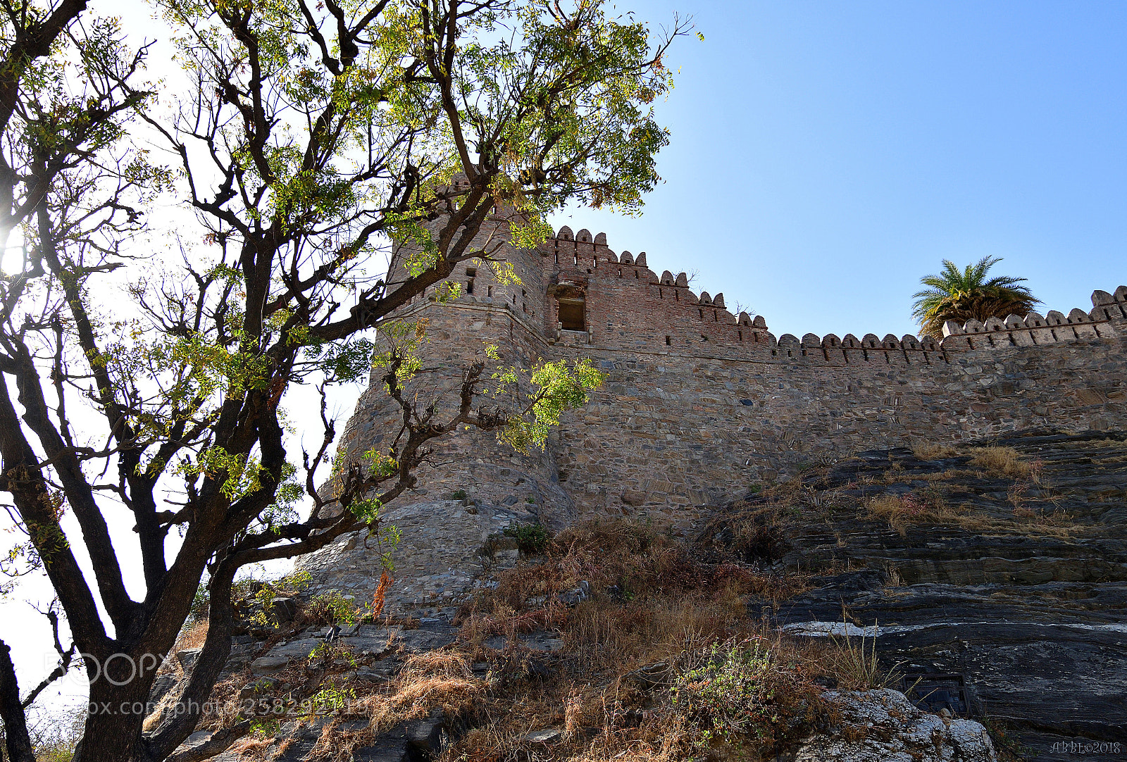 Nikon D500 sample photo. At the walls of photography