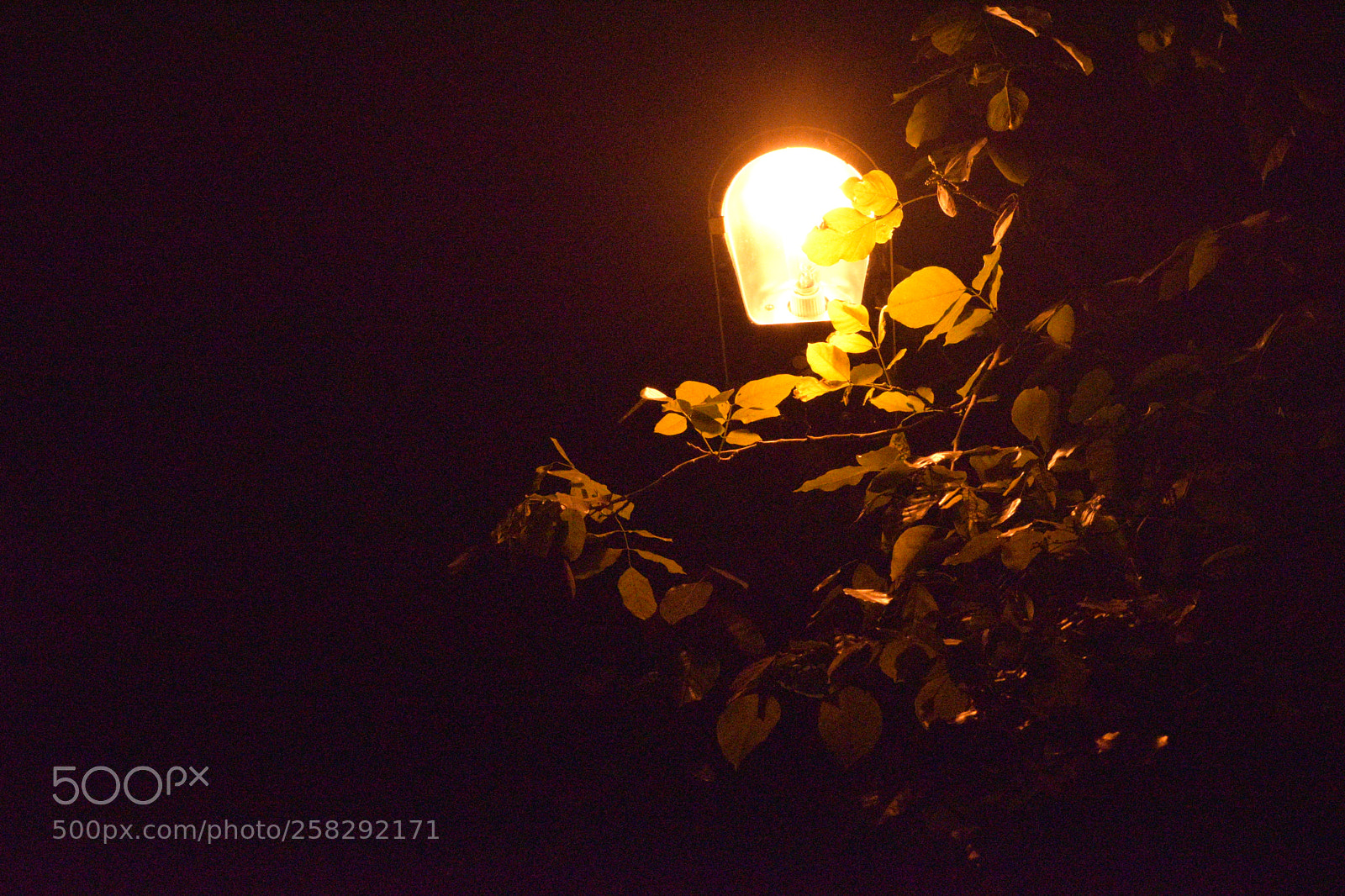 Nikon D3300 sample photo. Night life photography
