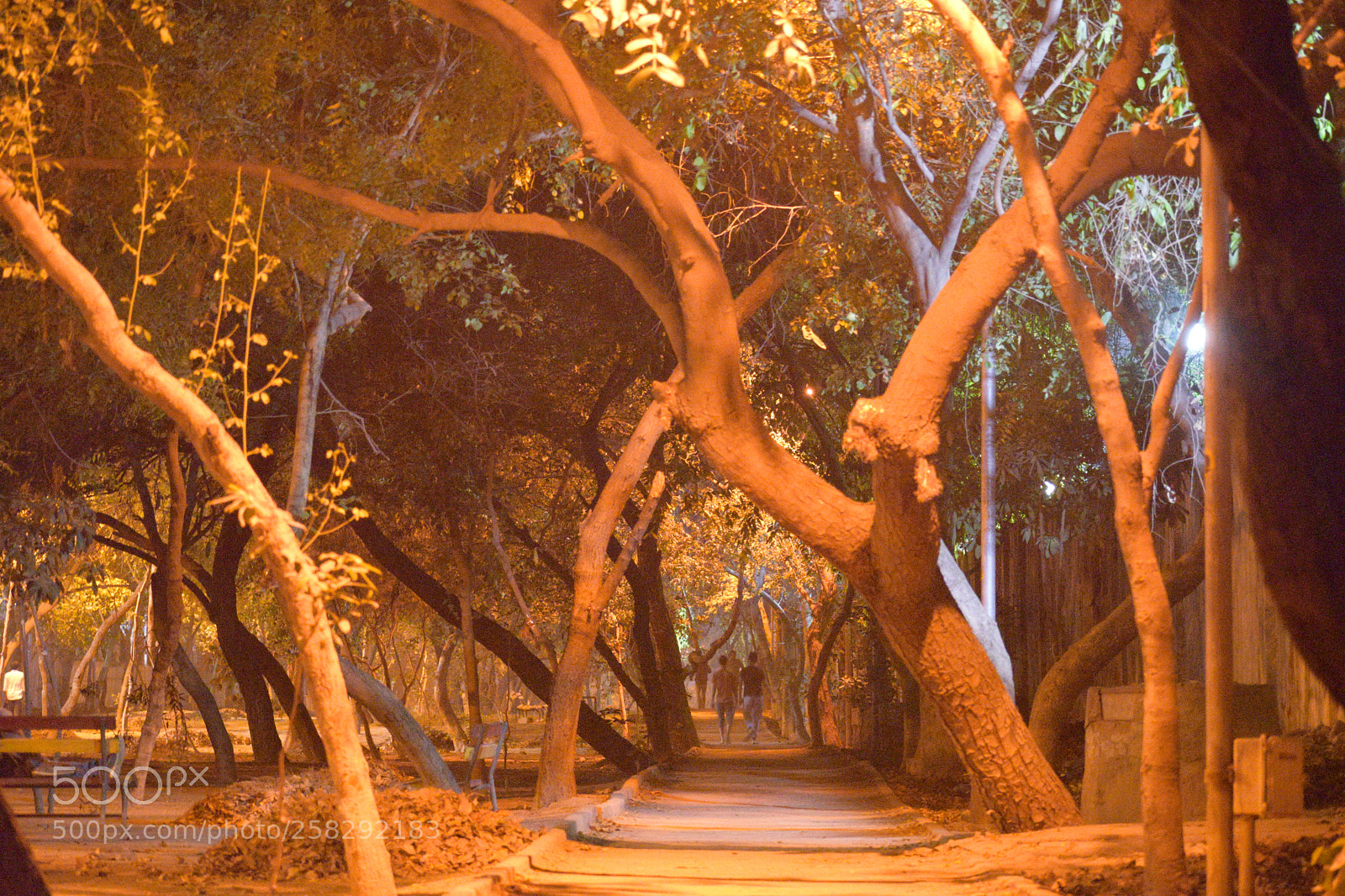 Nikon D3300 sample photo. Night life photography
