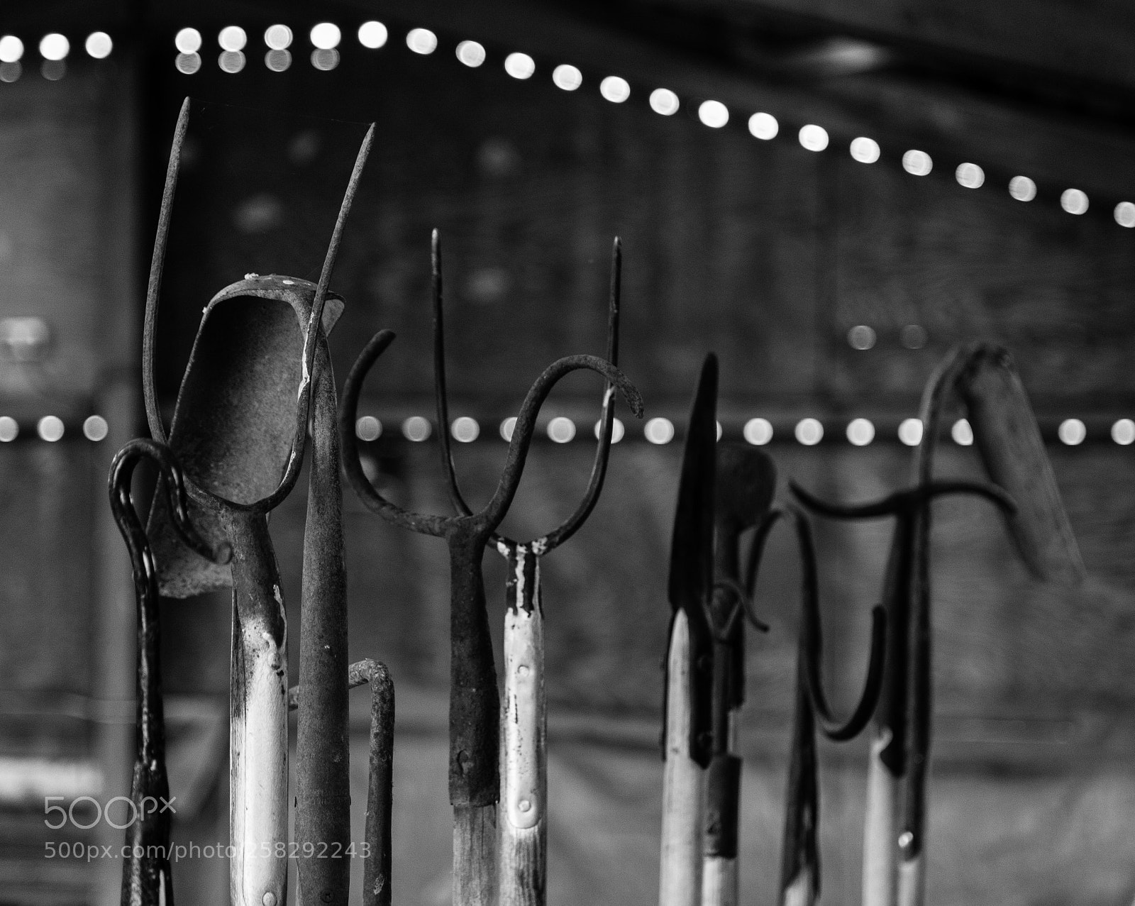 Canon EOS 6D sample photo. Hoe down photography