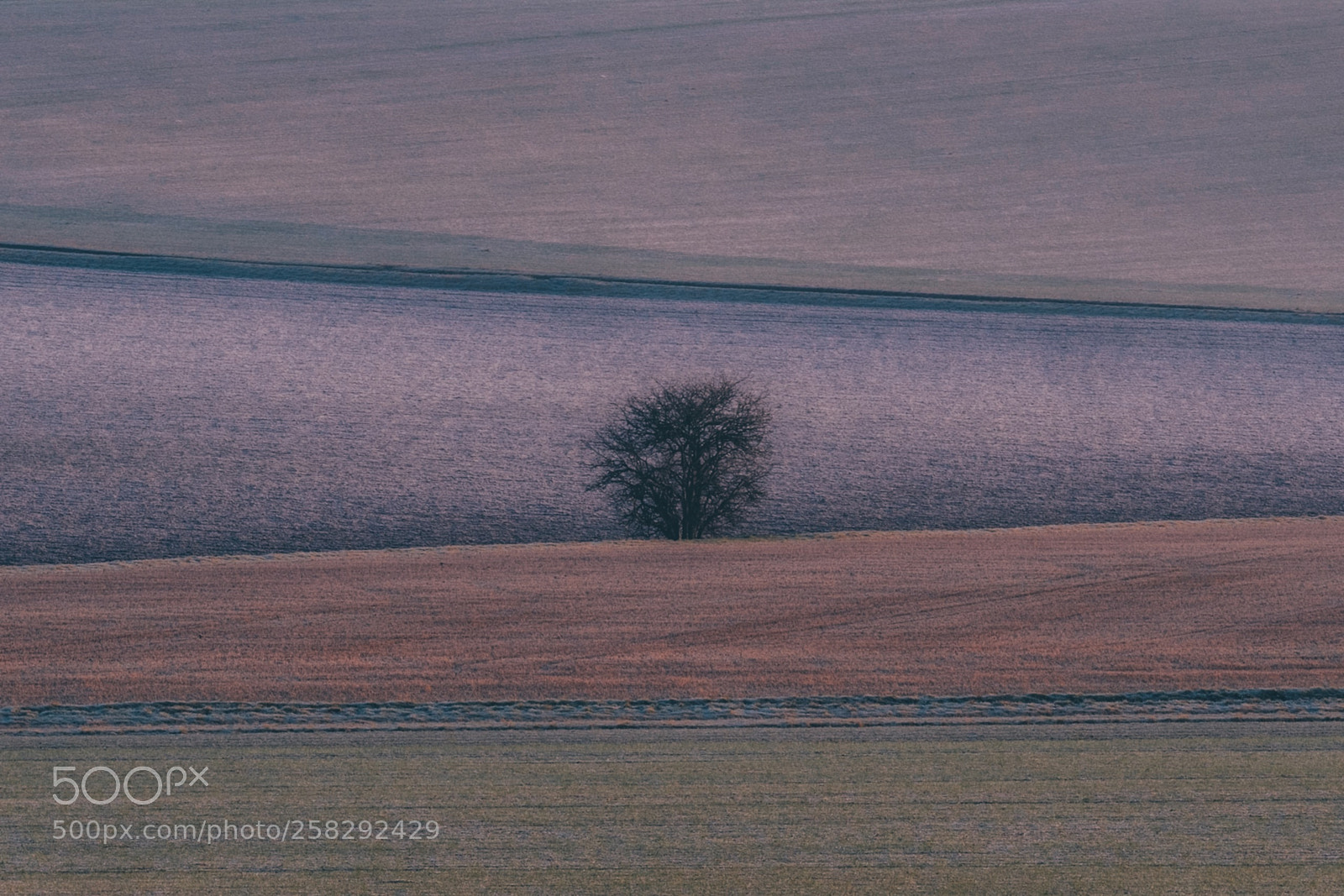 Fujifilm X-T2 sample photo. Fields, near weston, hertfordshire photography
