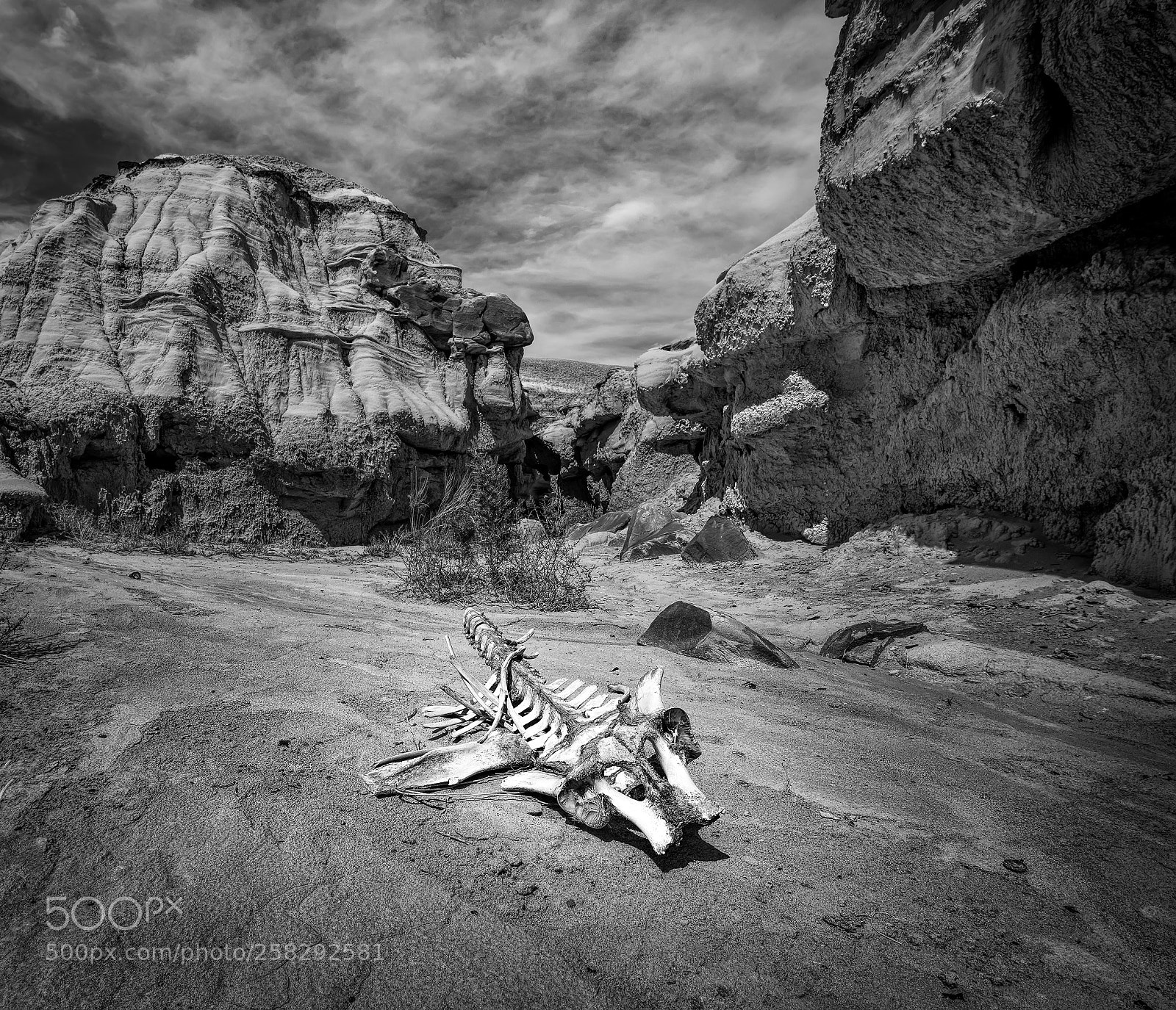 Canon EOS 5D Mark IV sample photo. Badlands photography