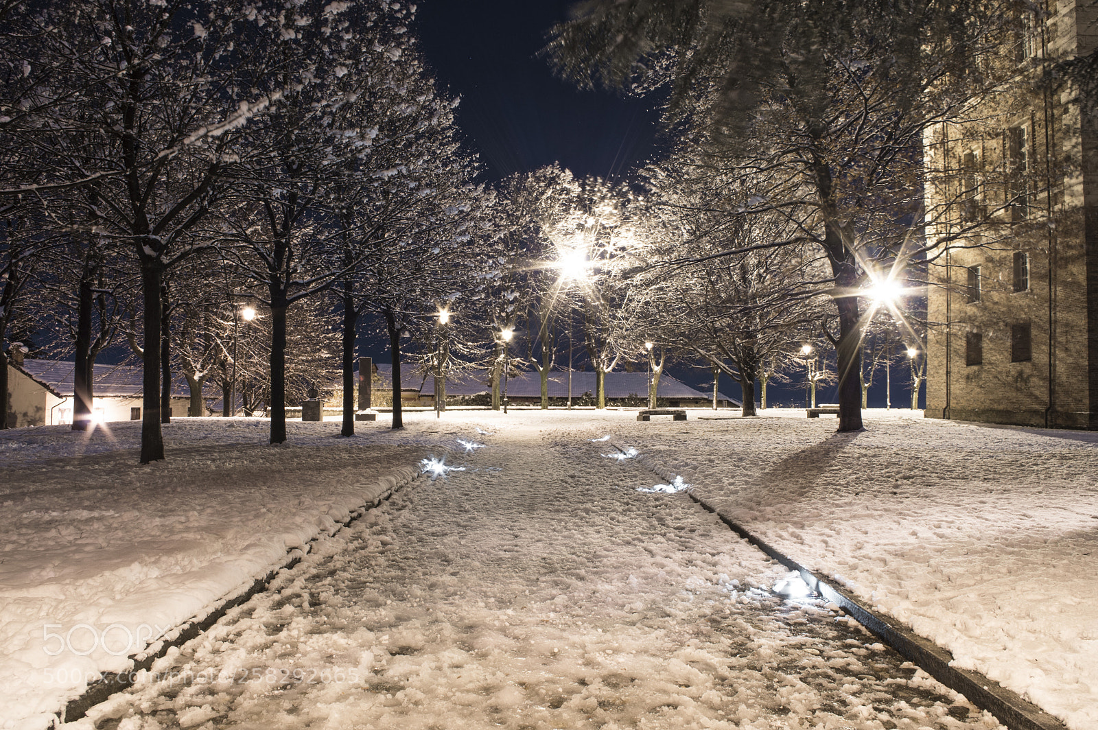Pentax K-50 sample photo. Snow in the night photography