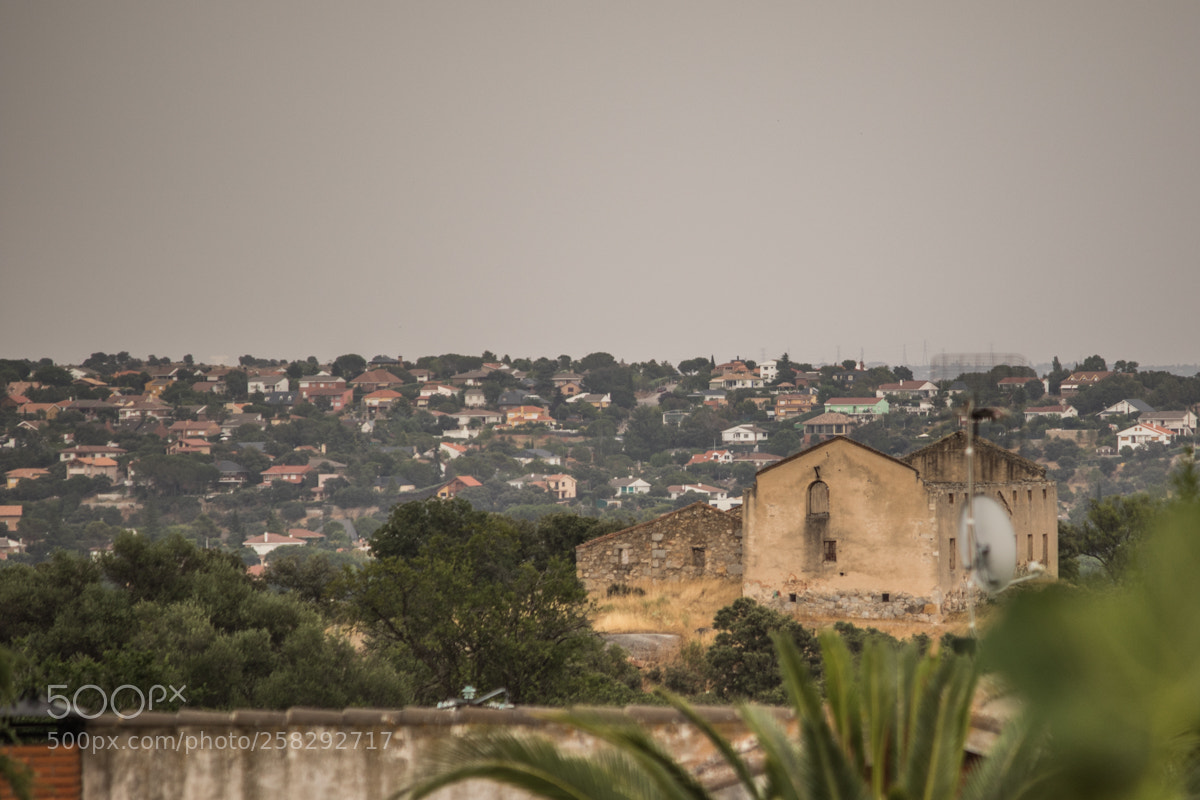Canon EOS 7D Mark II sample photo. Abandono o photography