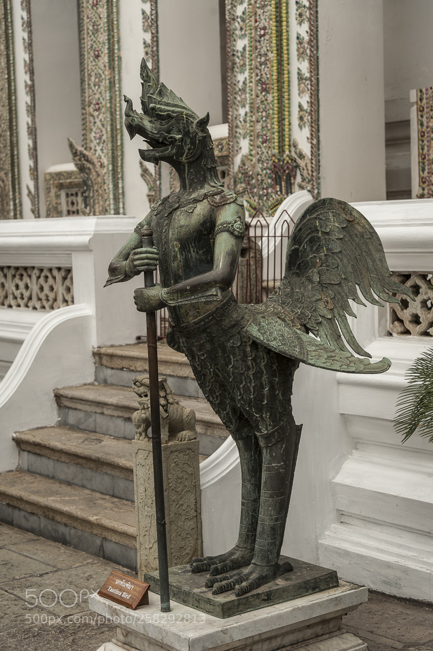 Nikon D700 sample photo. Thai discovery photography