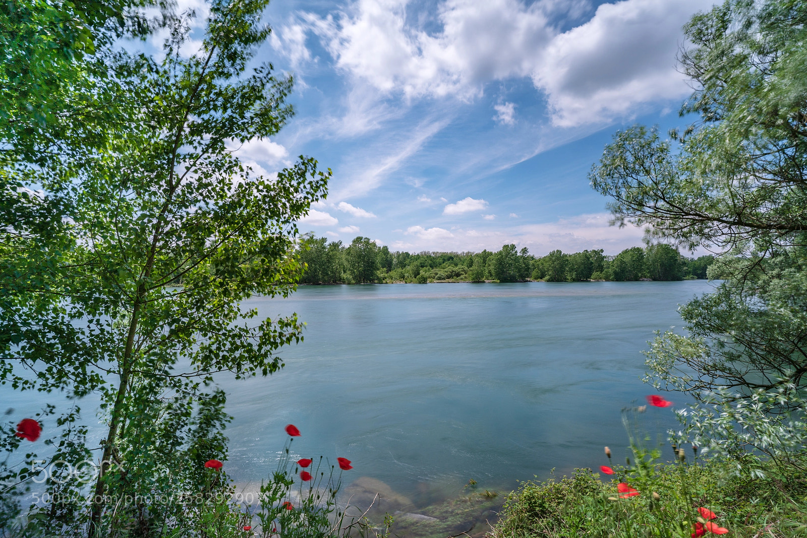 Sony a7R III sample photo. Ticino di cuggiono photography
