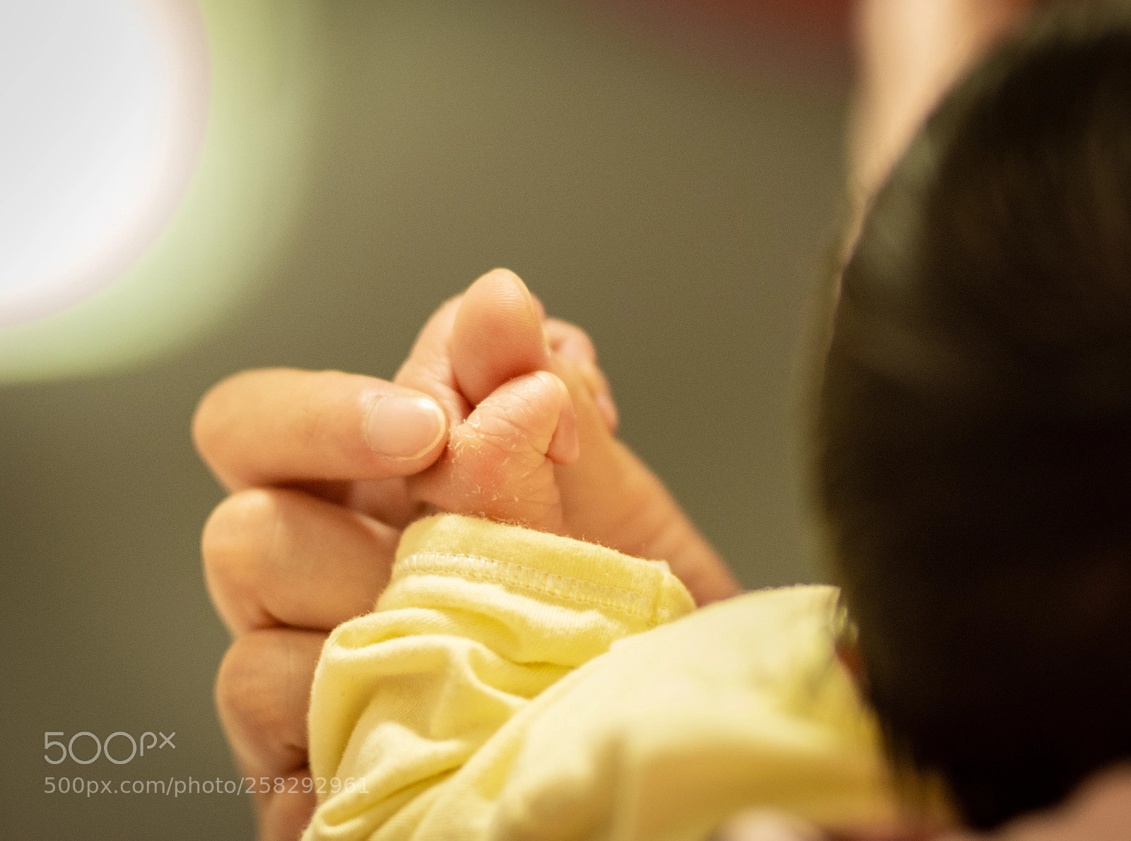 Nikon D7200 sample photo. Untitled photography