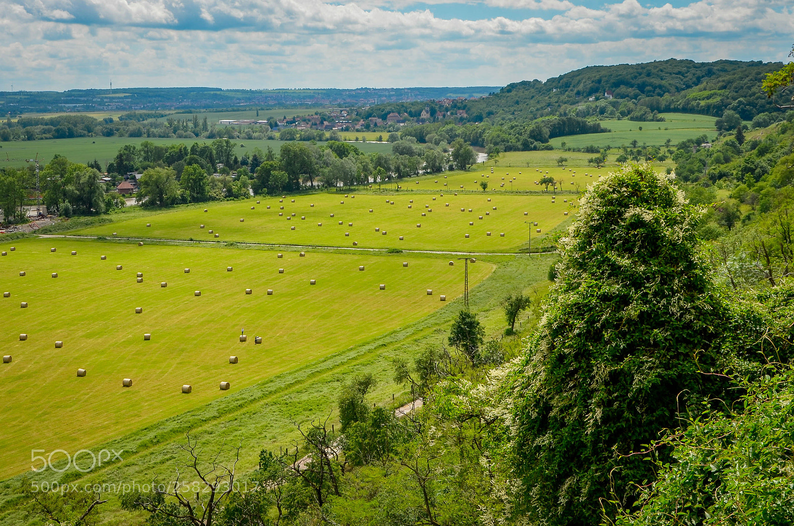 Nikon D5100 sample photo. Unstrut valley in the photography