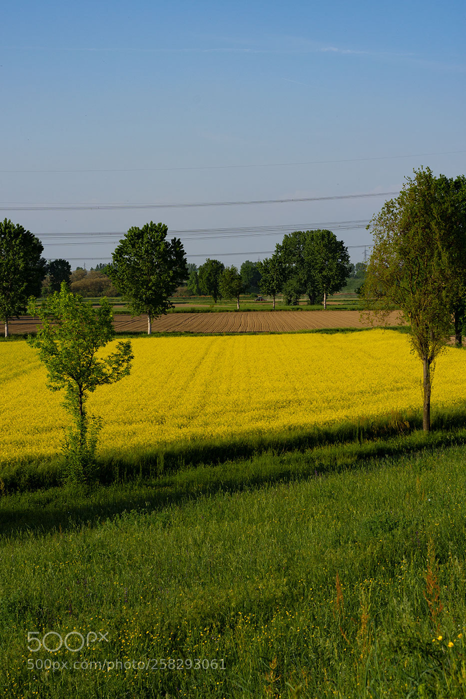 Nikon D7200 sample photo. Campagna colori photography