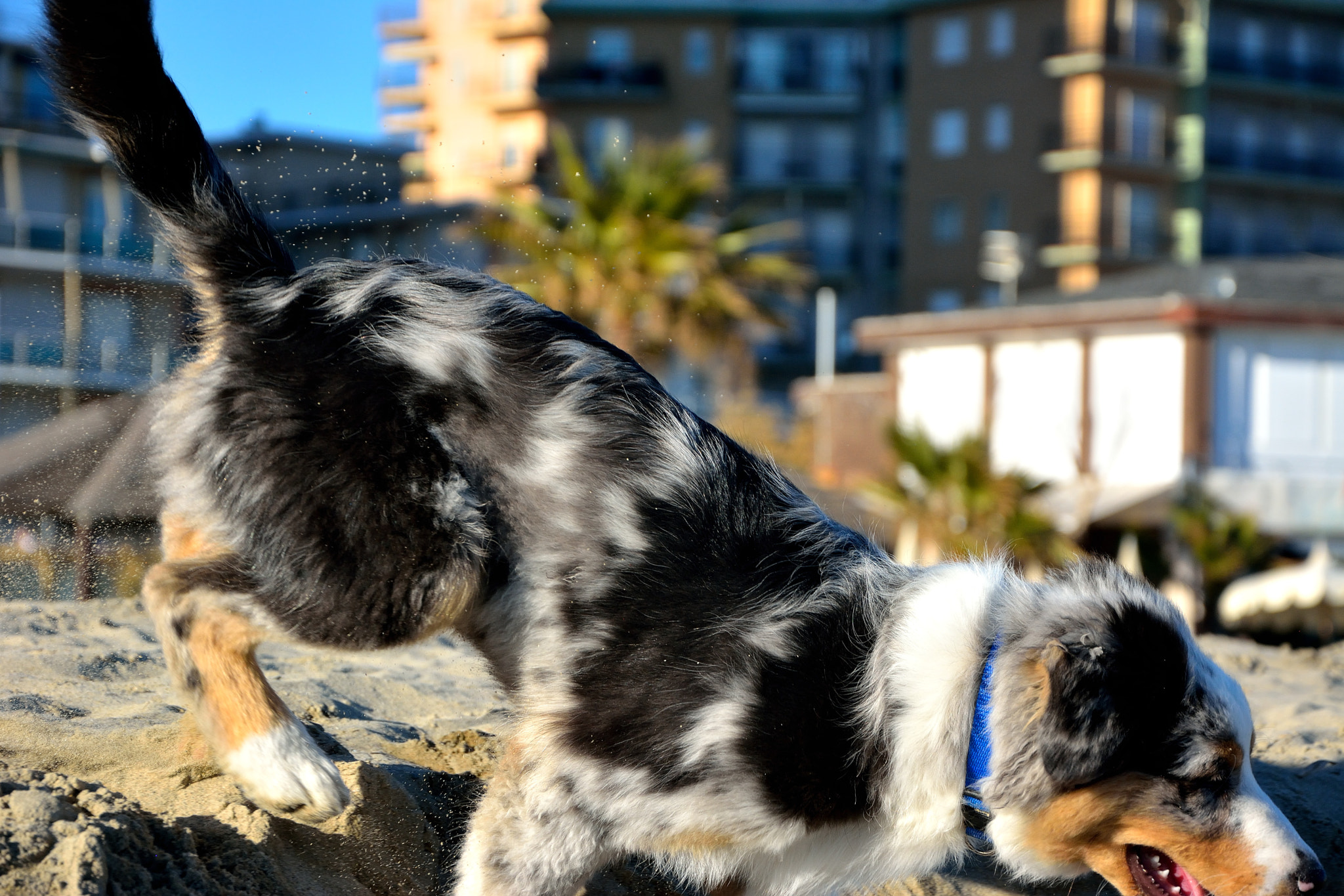 Nikon D5200 sample photo. Playing photography