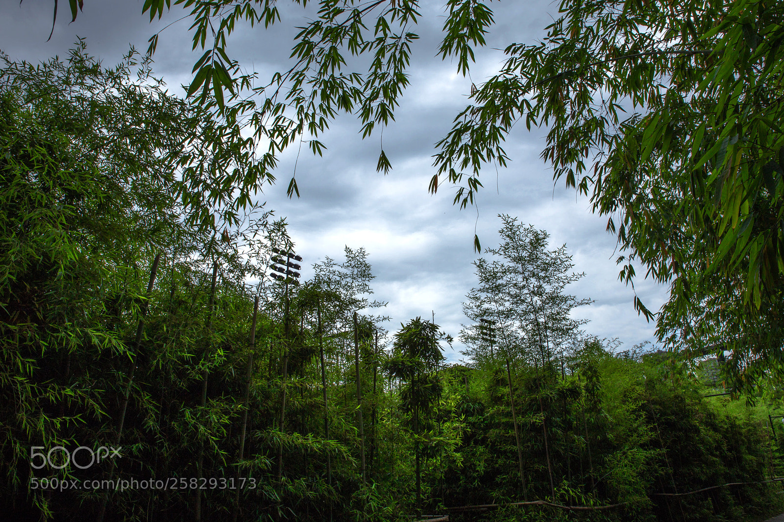 Canon EOS 6D sample photo. Untitled photography