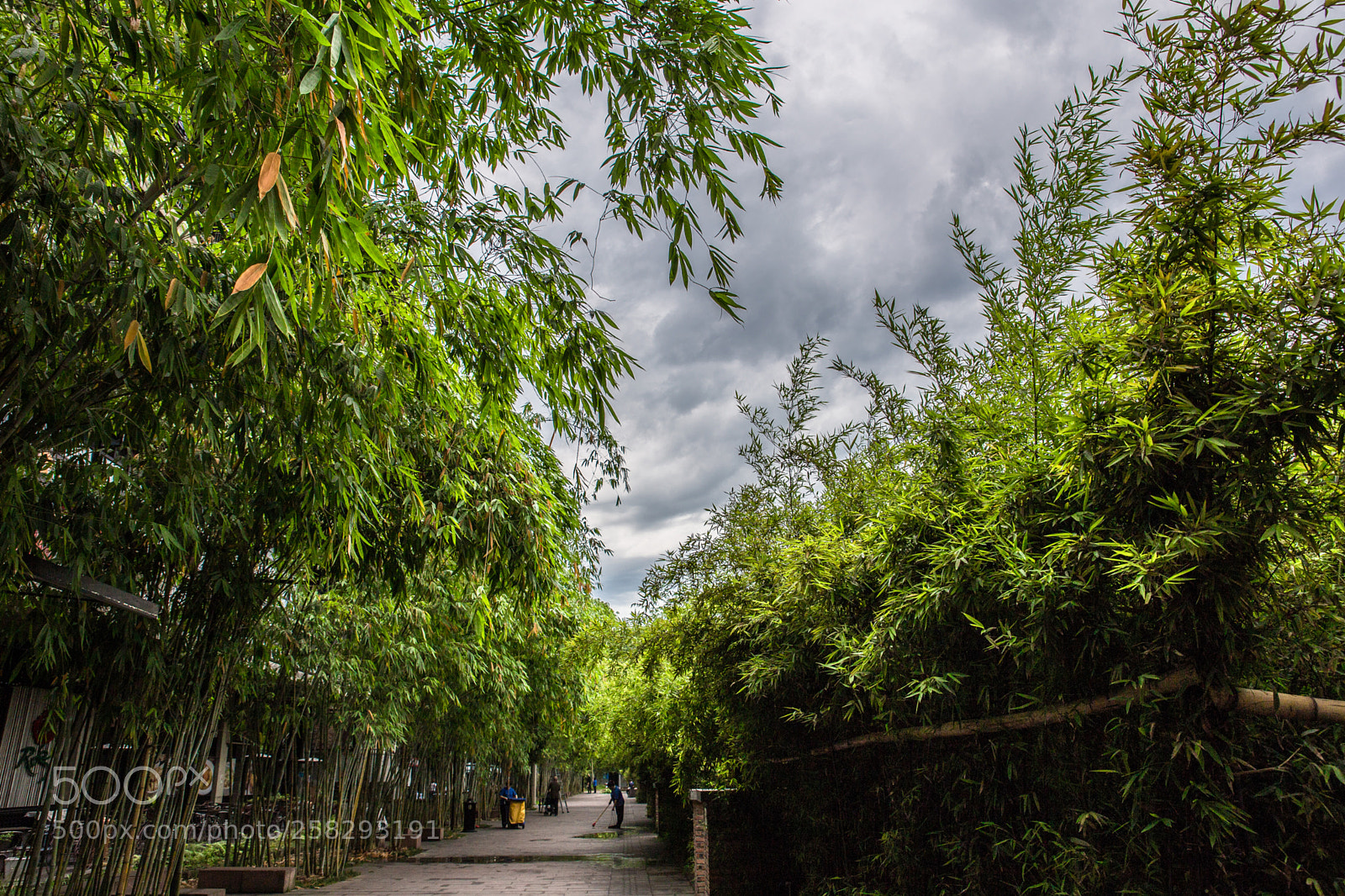 Canon EOS 6D sample photo. Untitled photography