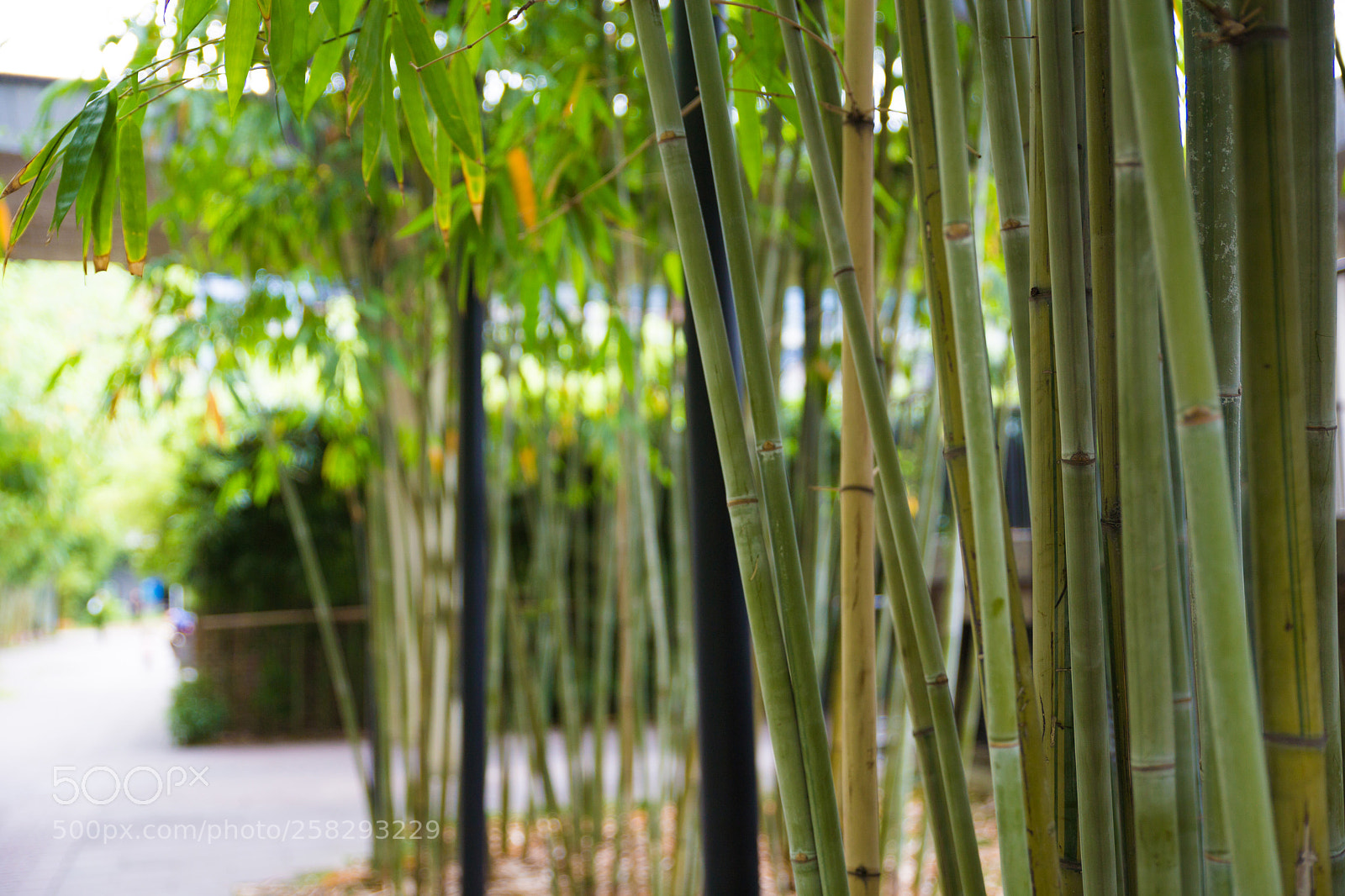 Canon EOS 6D sample photo. Untitled photography