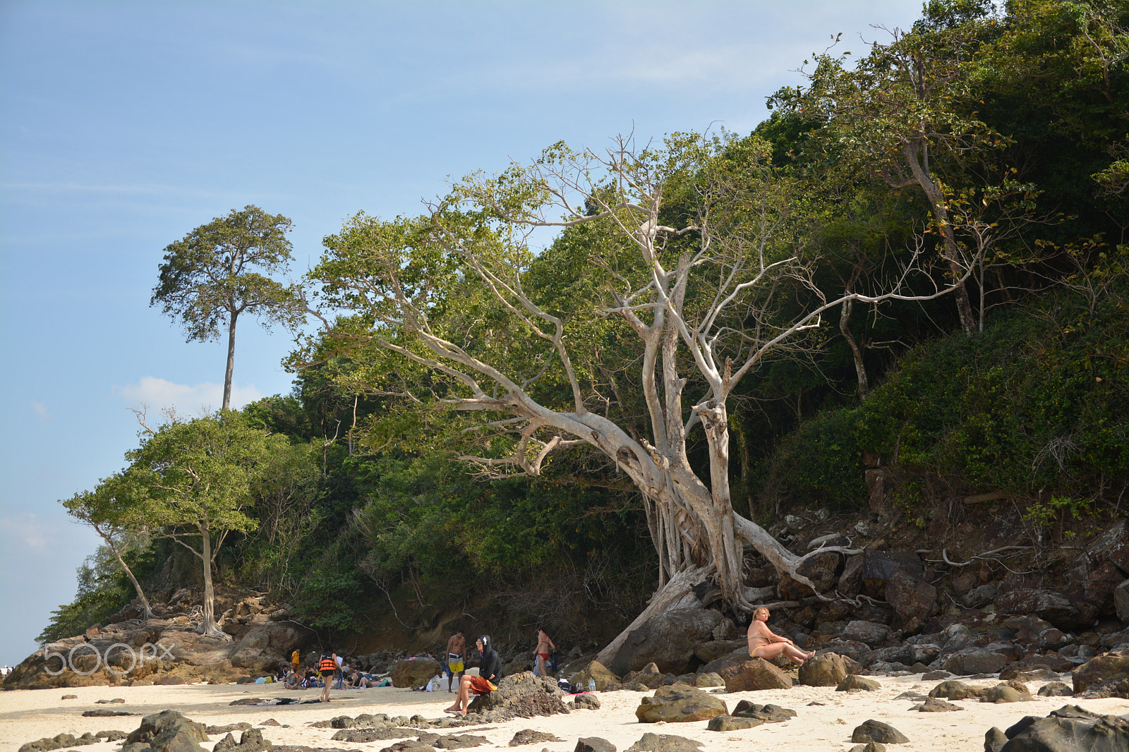 Nikon D5200 sample photo. Thaiexpress photography