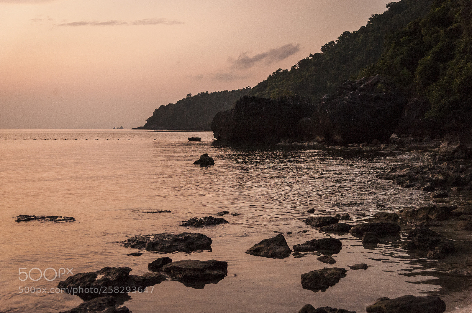 Nikon D700 sample photo. Thai discovery photography