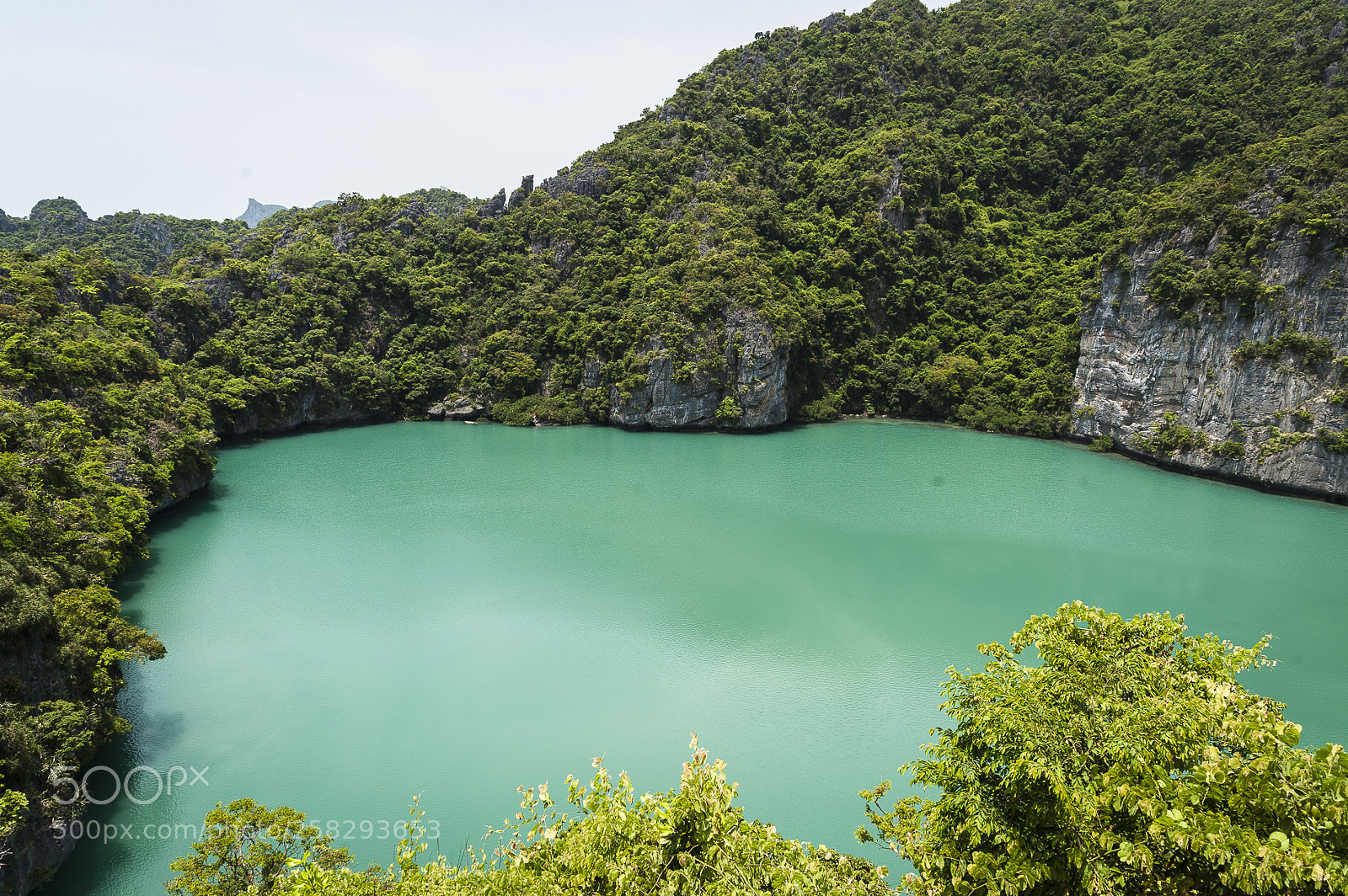 Nikon D700 sample photo. Thai discovery photography