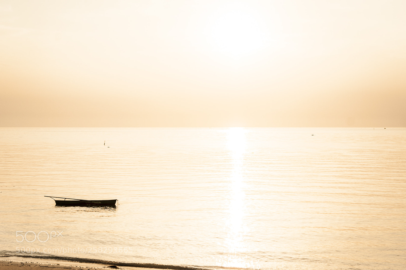 Nikon D700 sample photo. Thai discovery photography