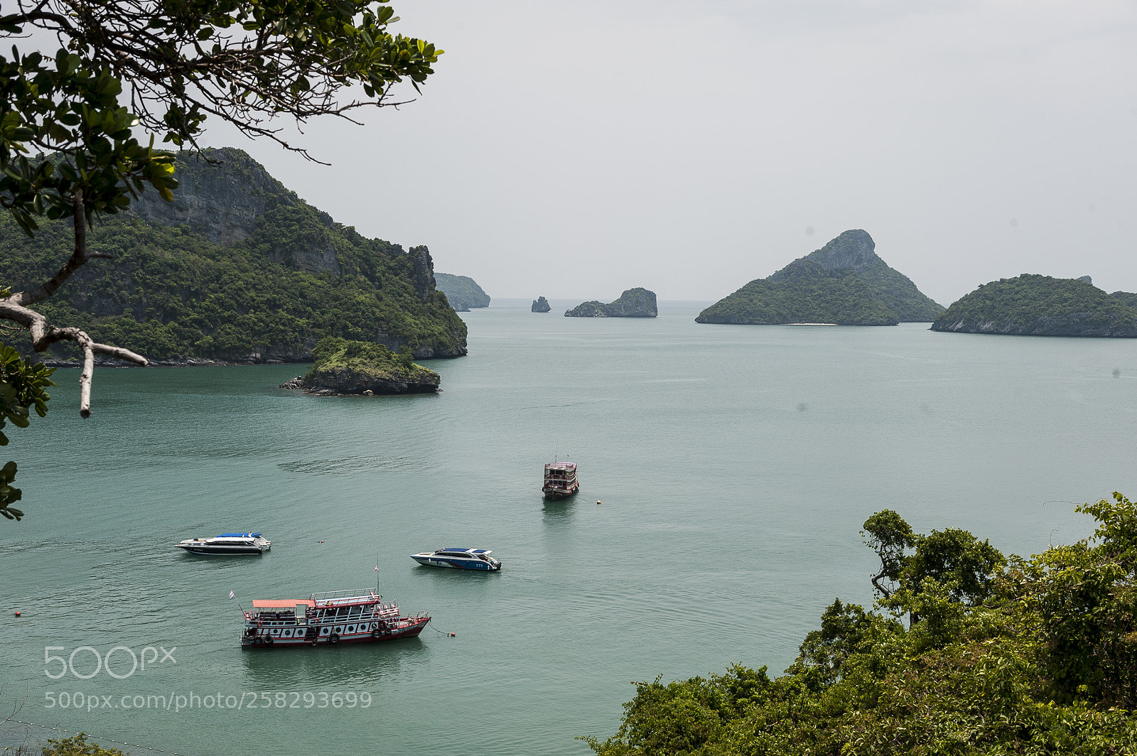 Nikon D700 sample photo. Thai discovery photography