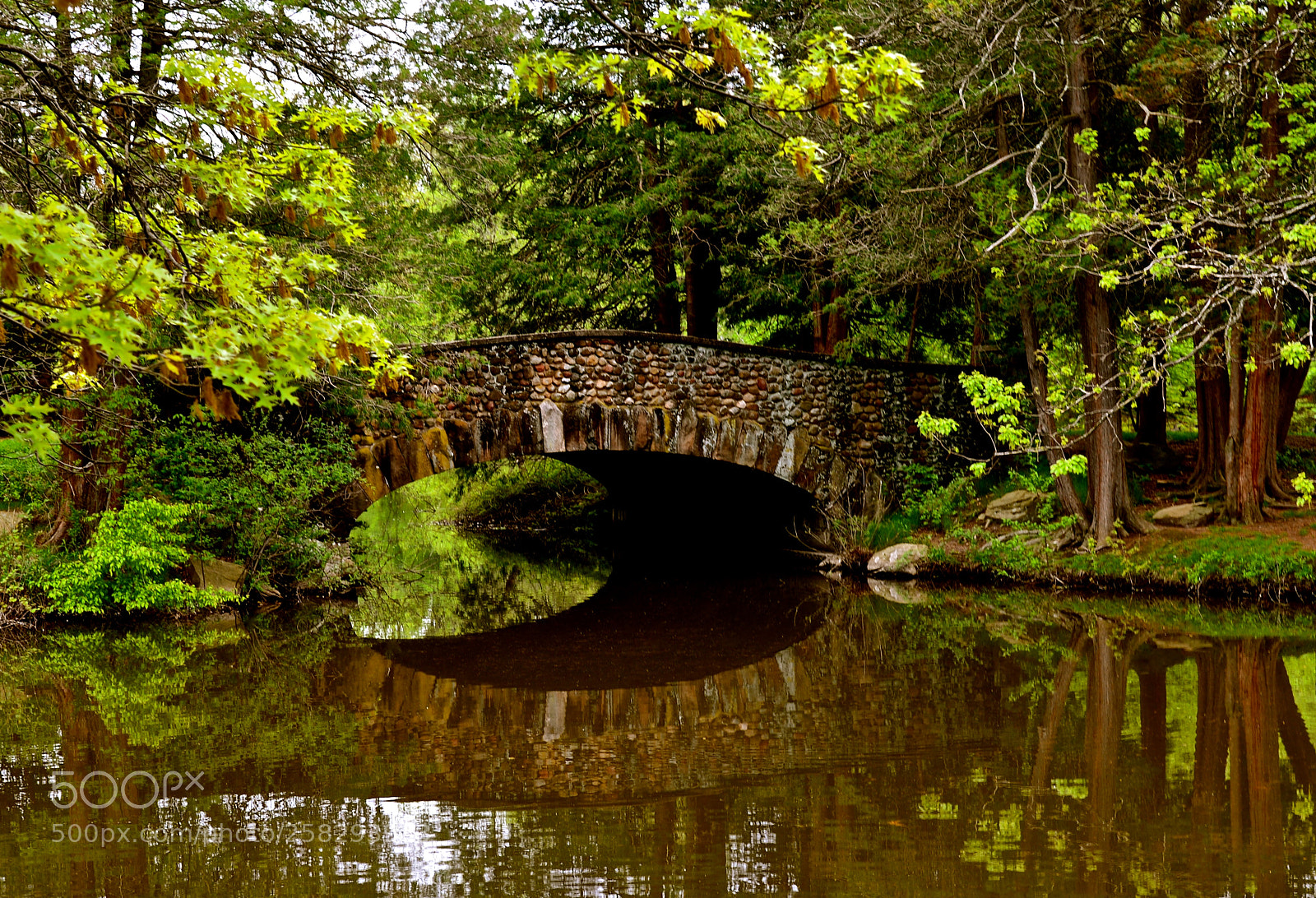 Nikon D600 sample photo. Stone footbridge photography