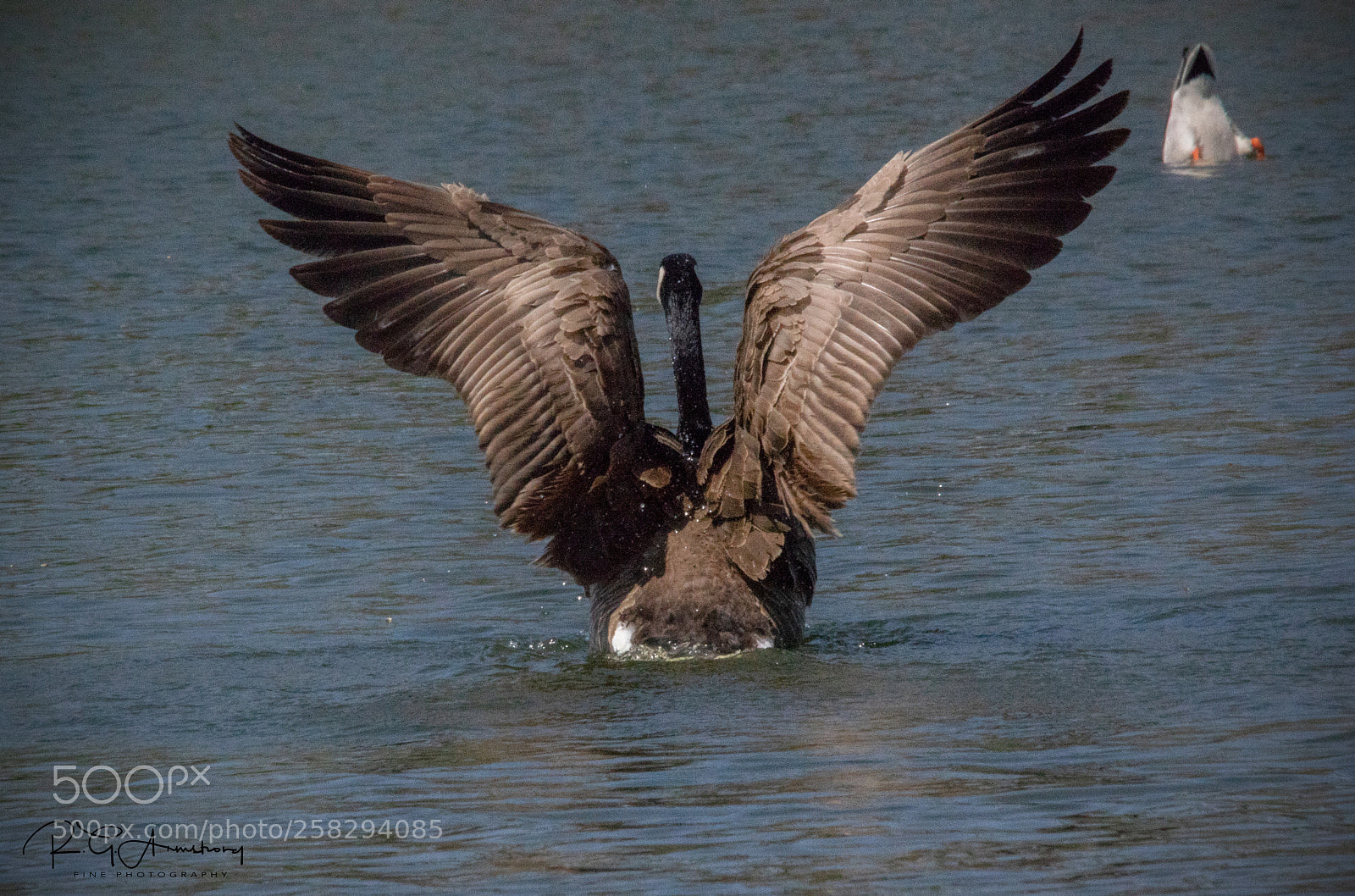 Pentax K-3 II sample photo. The ups and downs photography
