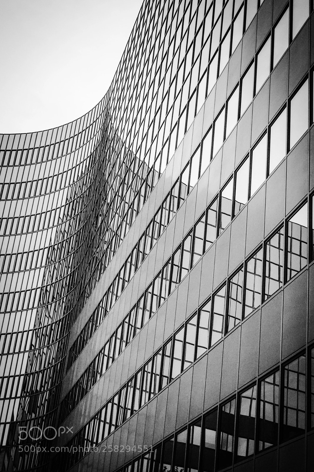 Sony SLT-A68 sample photo. Platinum photography