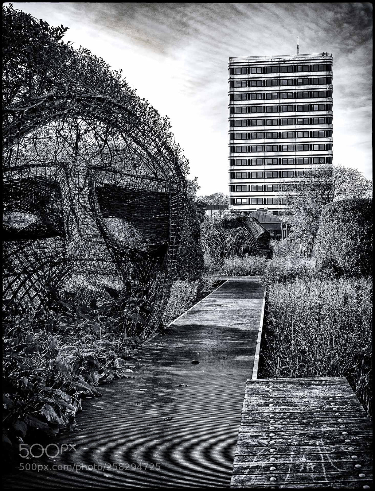 Nikon D750 sample photo. Le parc des g photography