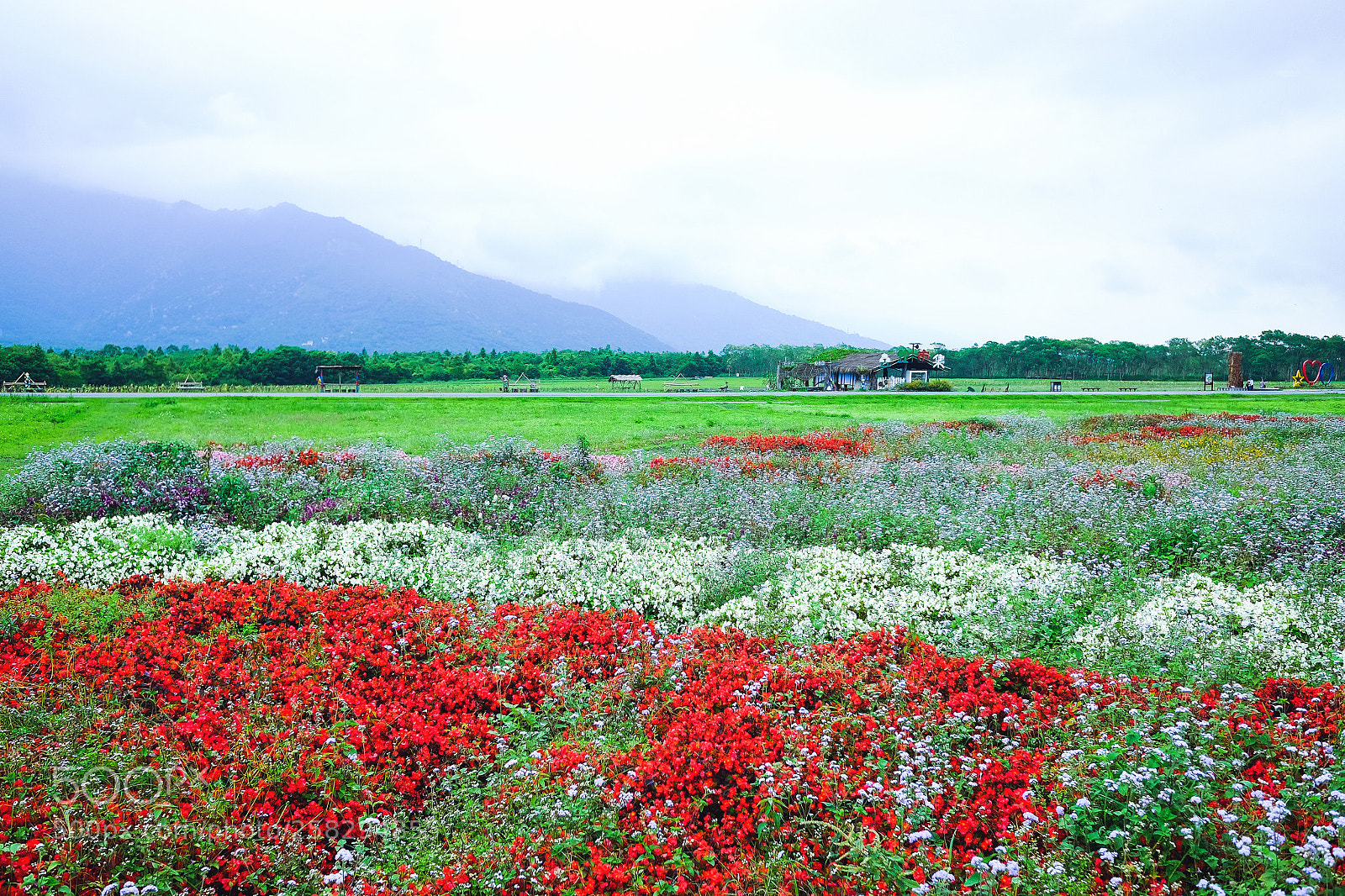 Fujifilm X70 sample photo. Flowerland photography