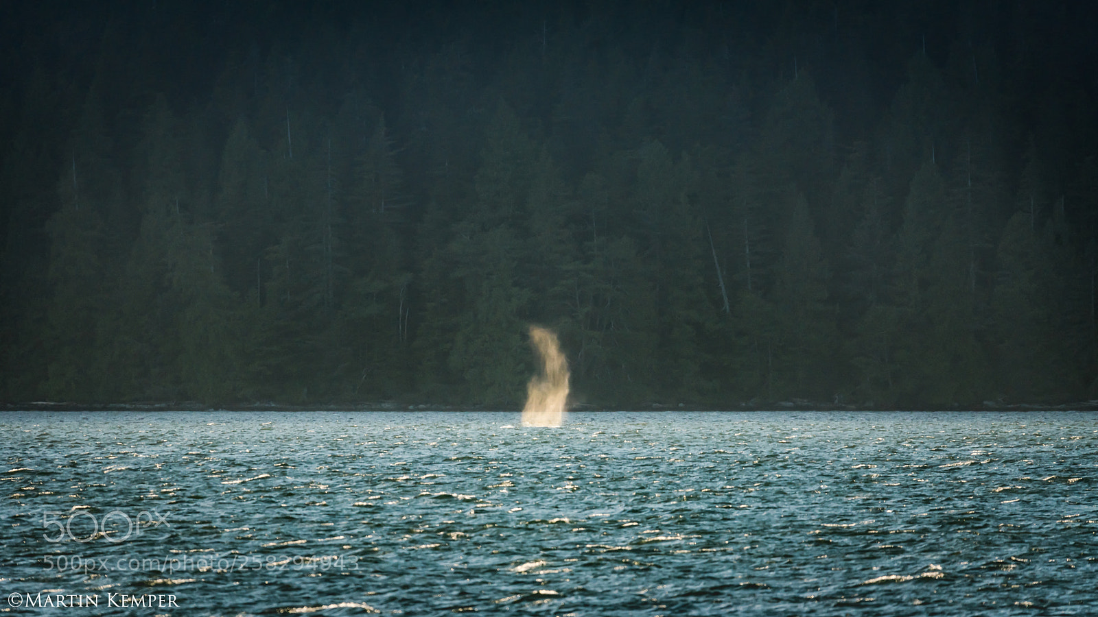 Nikon D750 sample photo. The water spirit photography