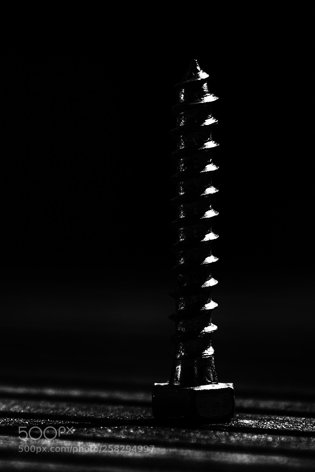 Nikon D850 sample photo. Wabi sabi photography