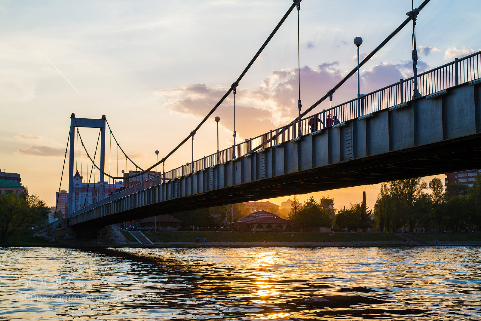 Nikon D600 sample photo. Cable-stayed bridge photography