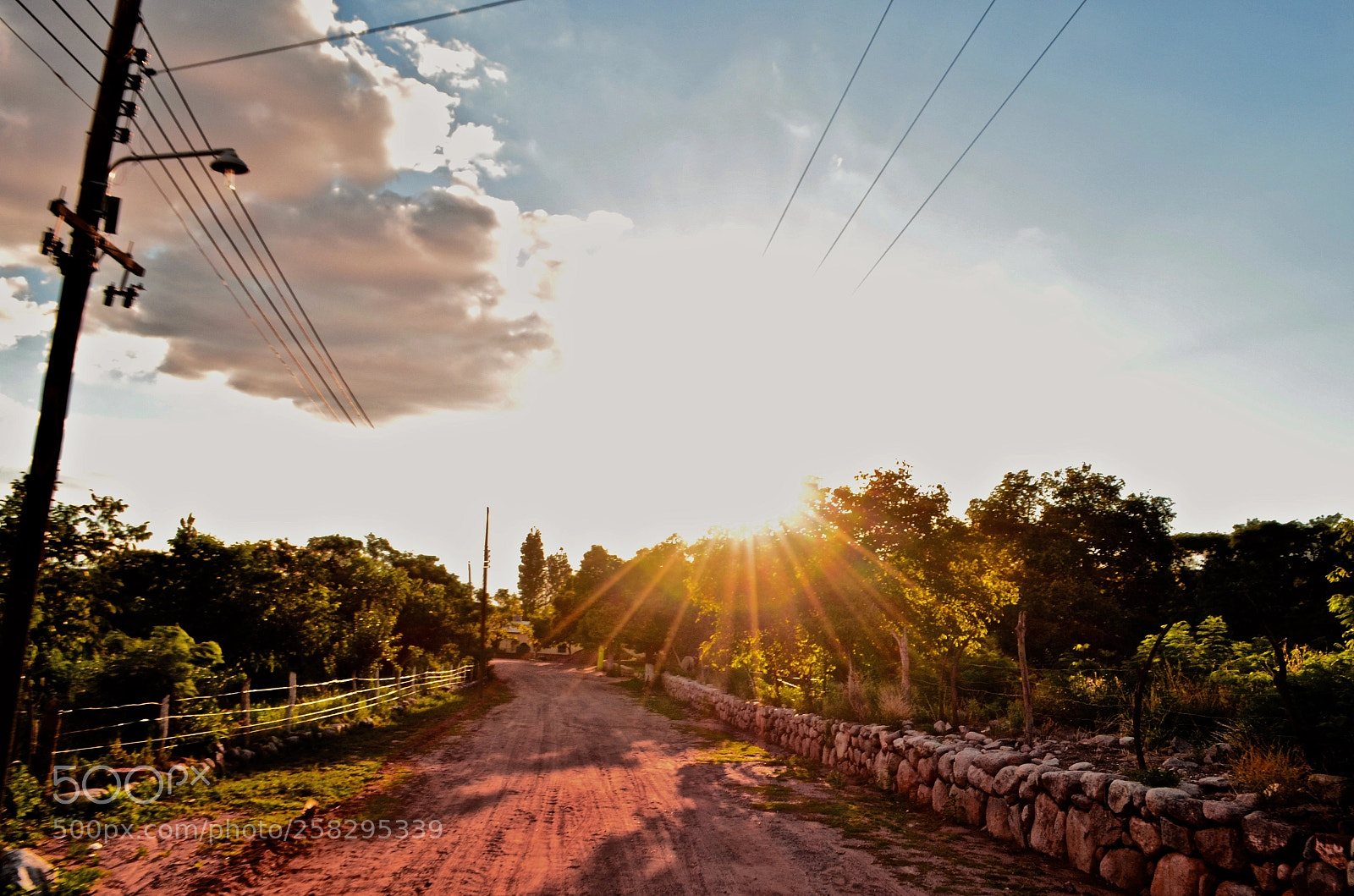 Nikon D5100 sample photo. Ioljjji photography