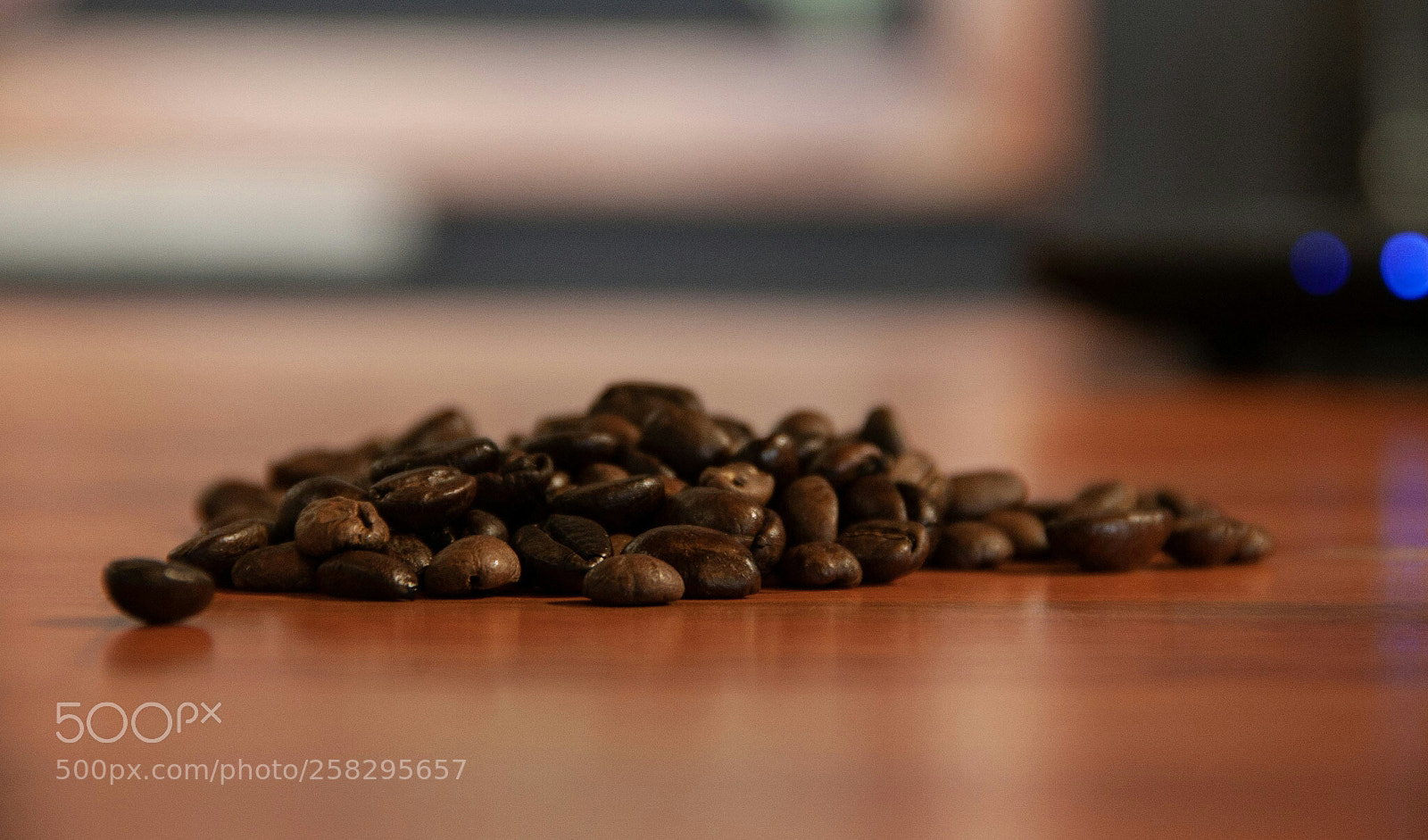 Canon EOS 500D (EOS Rebel T1i / EOS Kiss X3) sample photo. Beans photography