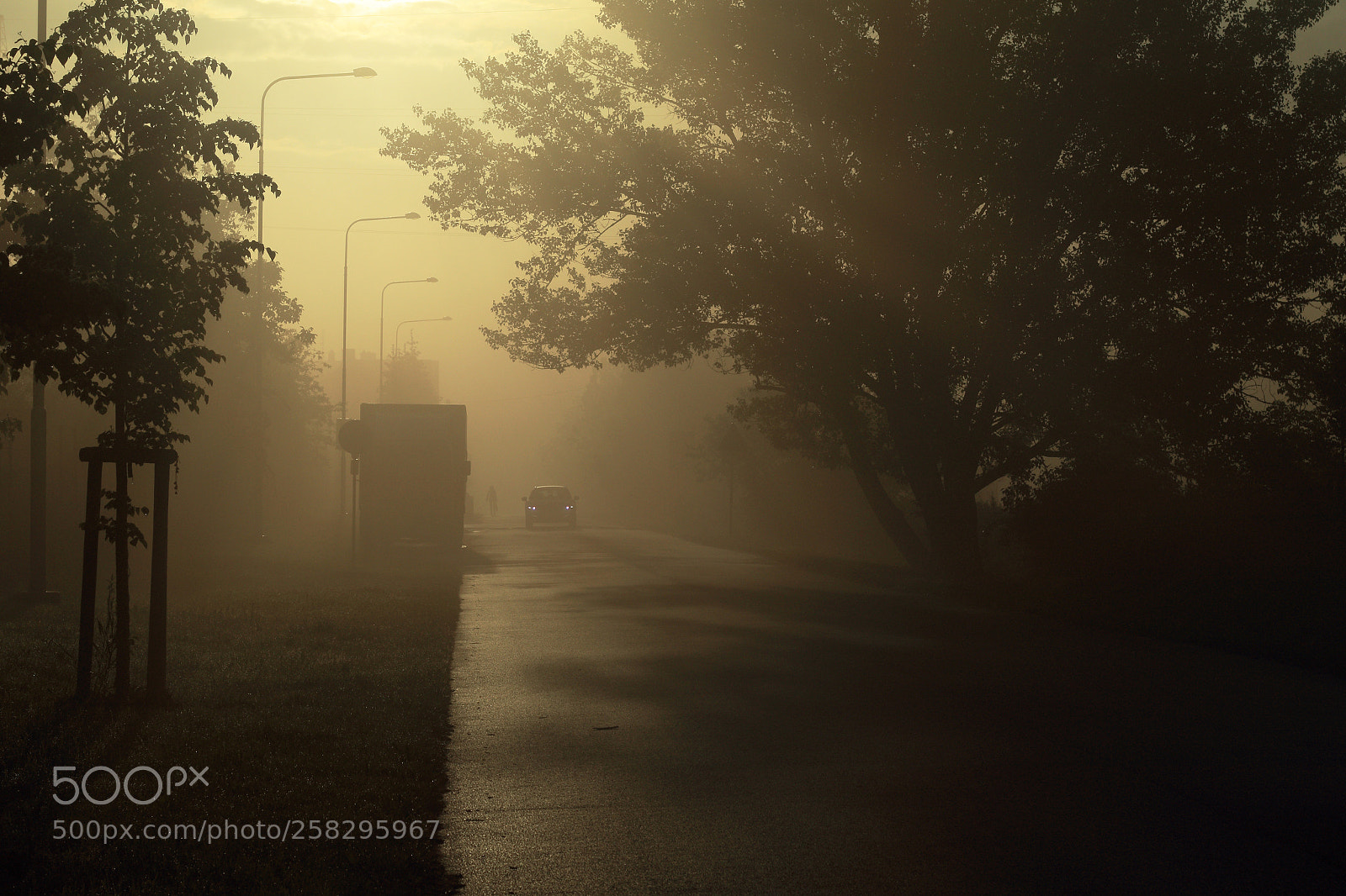 Canon EOS 80D sample photo. Dawn in the street photography