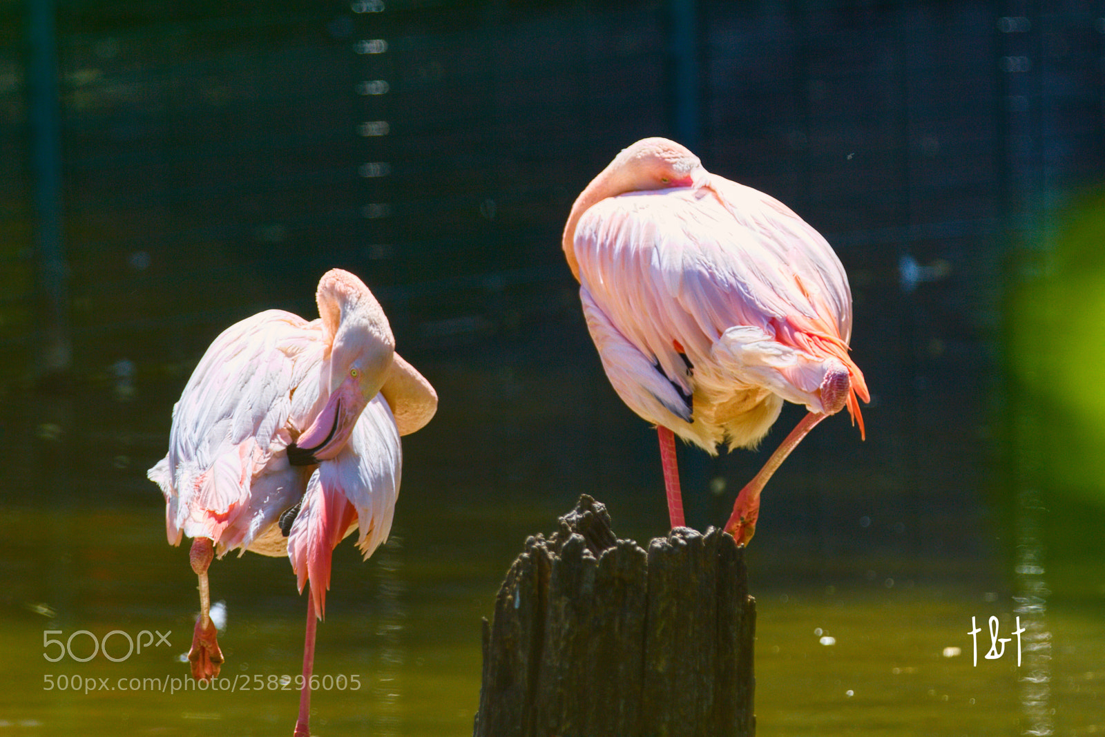 Canon EOS 7D sample photo. Untitled photography