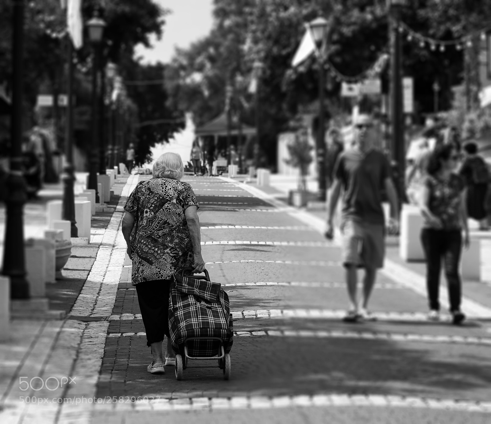 Canon EOS 5D Mark IV sample photo. =-=- photography