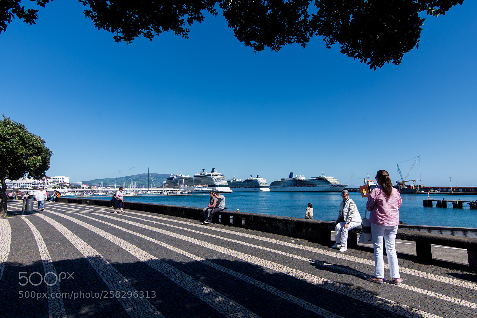 Nikon D610 sample photo. City life near the photography