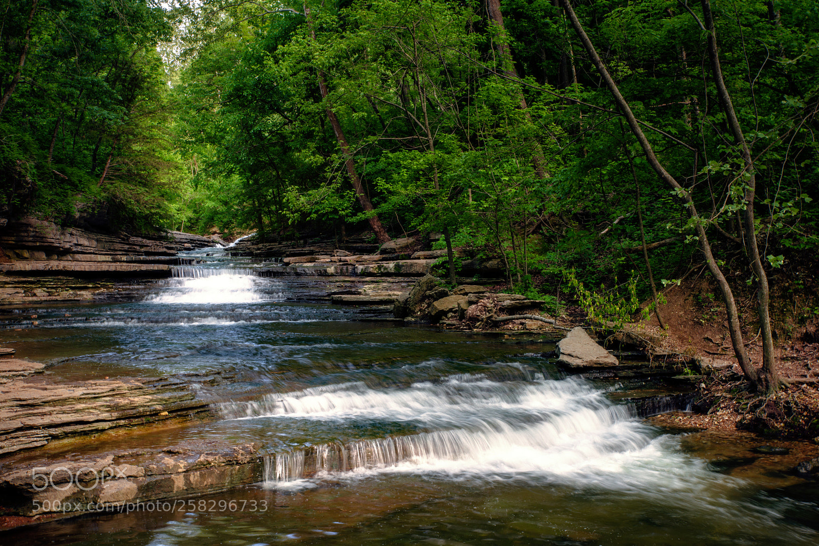 Nikon D800 sample photo. Tanyard creek waterfalls photography